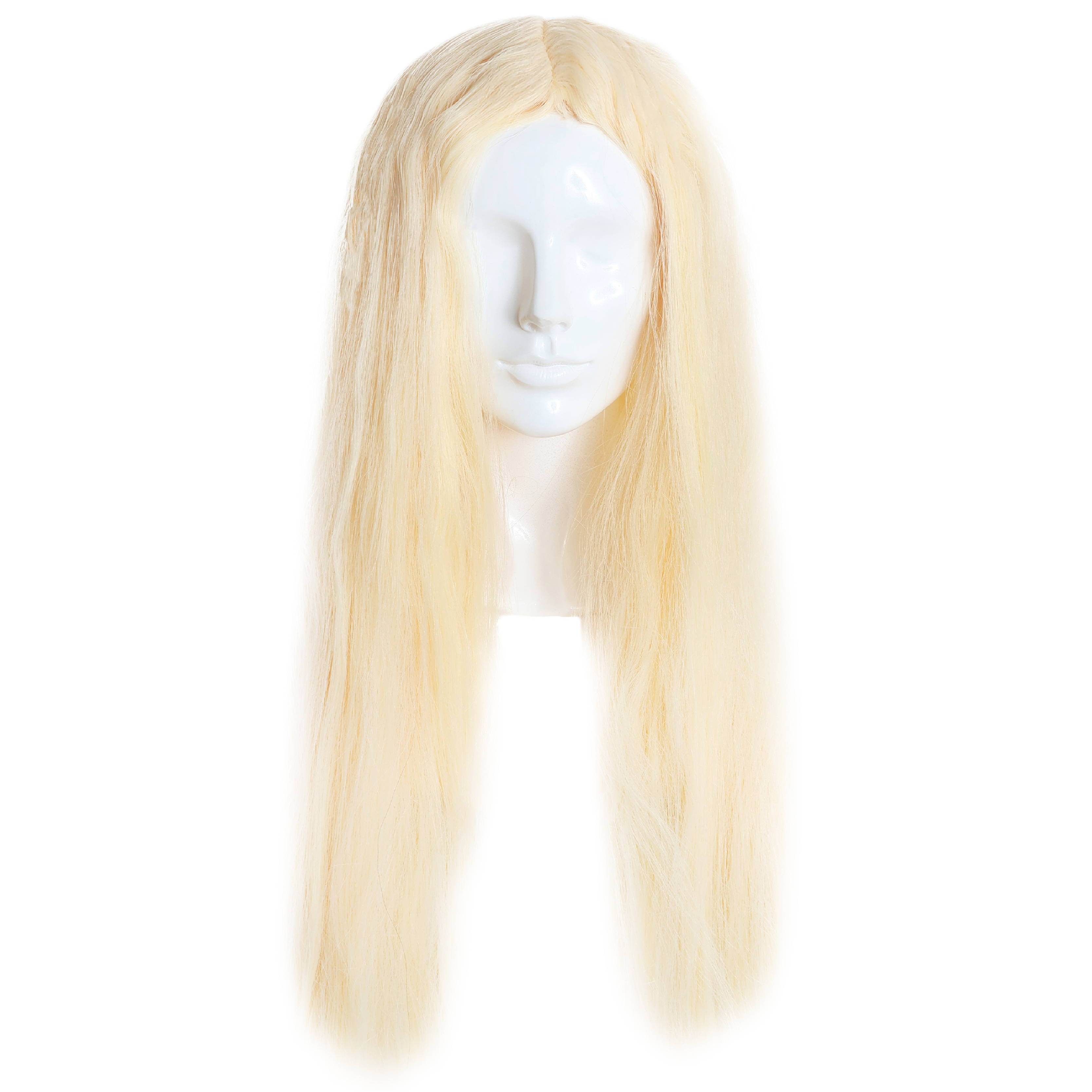 Long Blonde Womens Wig