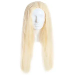 Long Blonde Womens Wig