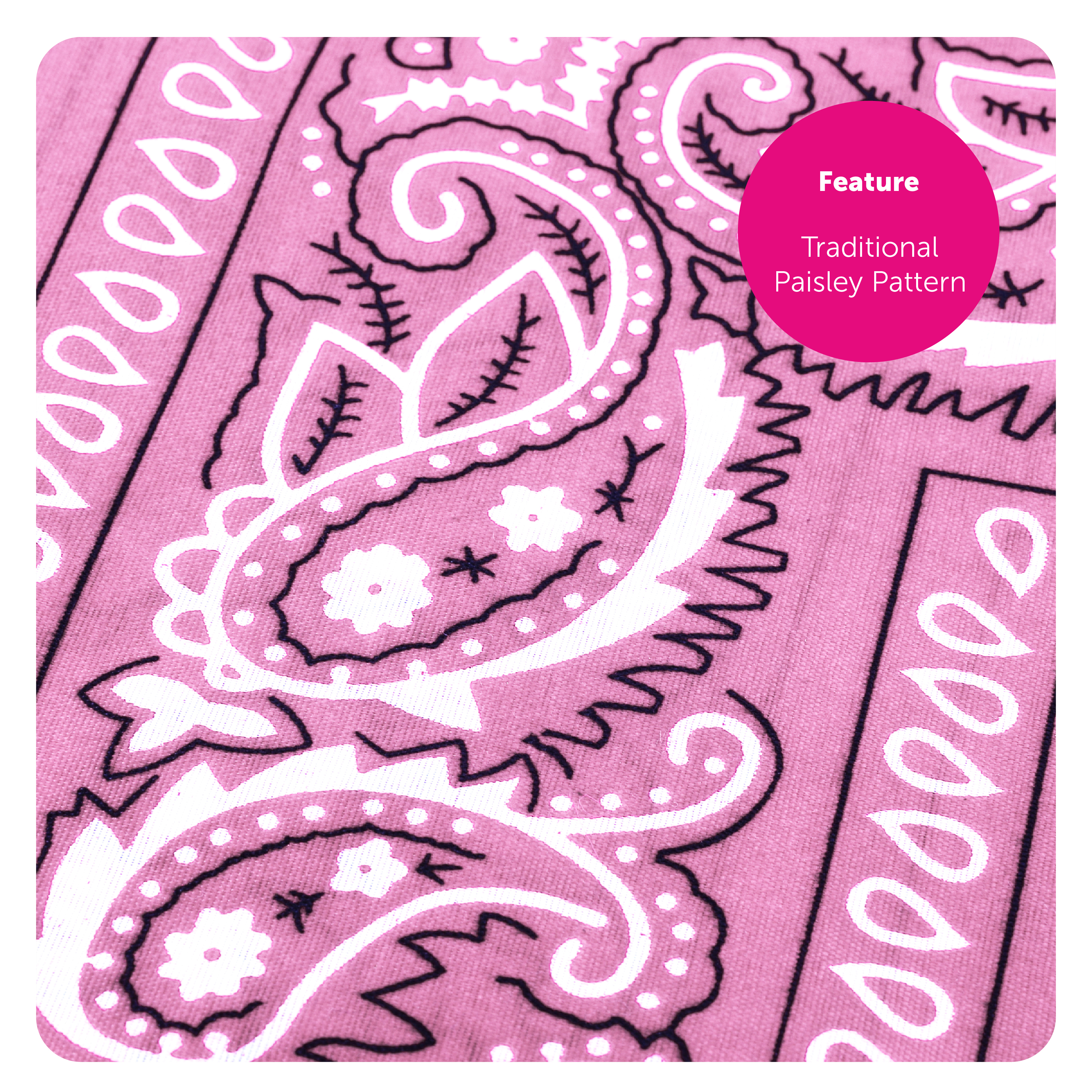 ecc42432-833e-4351-a702-e0d6c9de8403