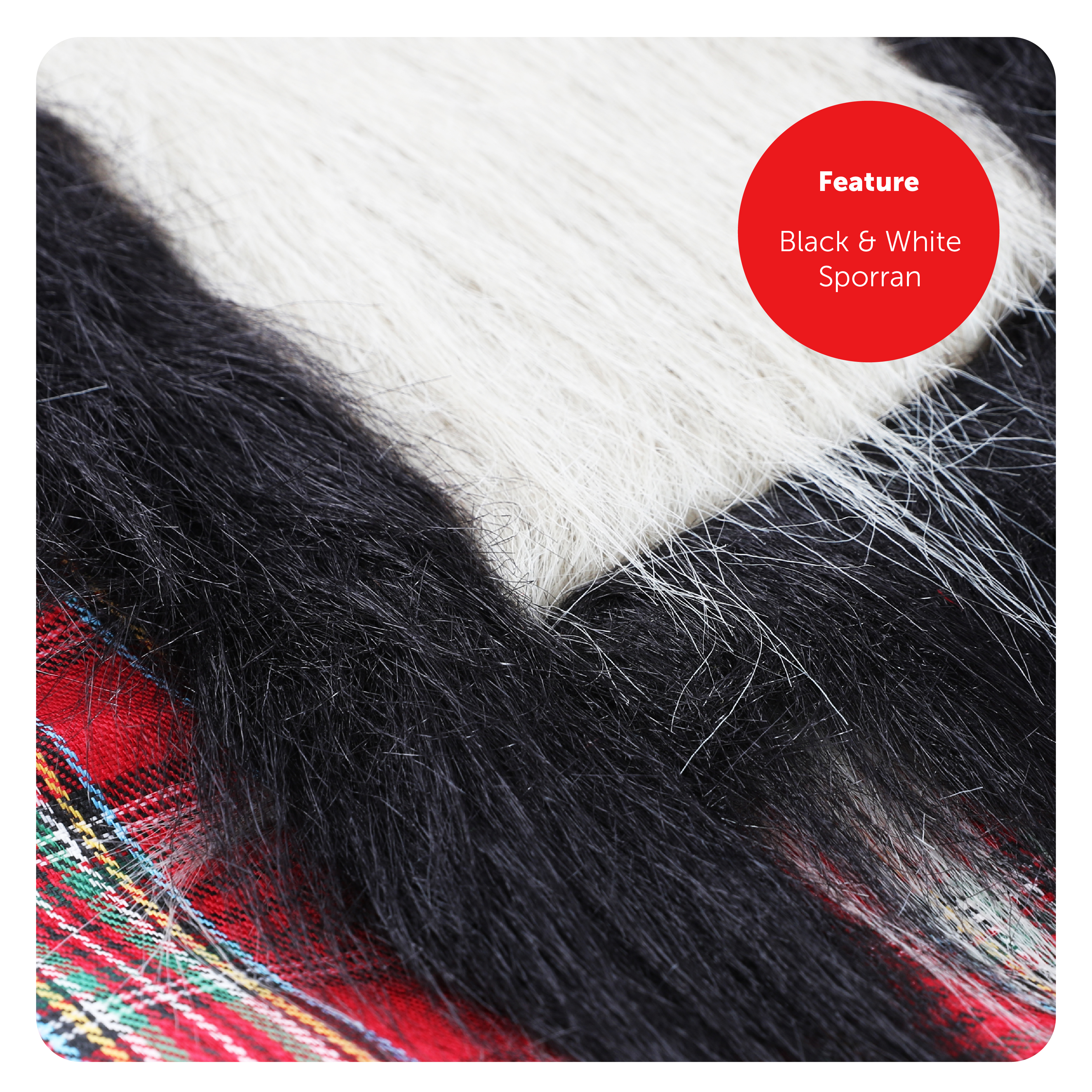 ac44884d-560d-47a2-92f2-b23ad0780016 (1)