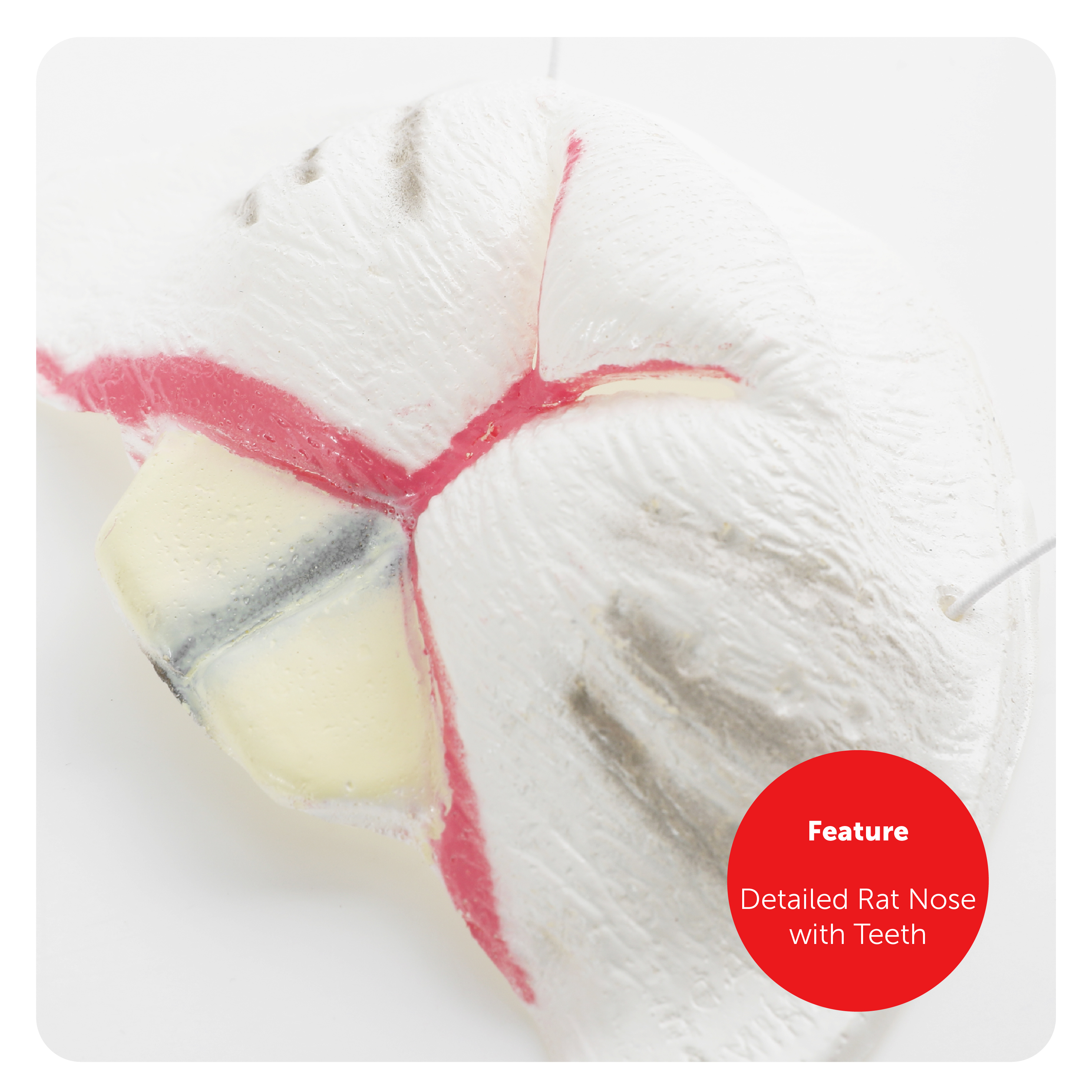 HIGHWAY-COSTUME-ADULTS+SW-1074-4