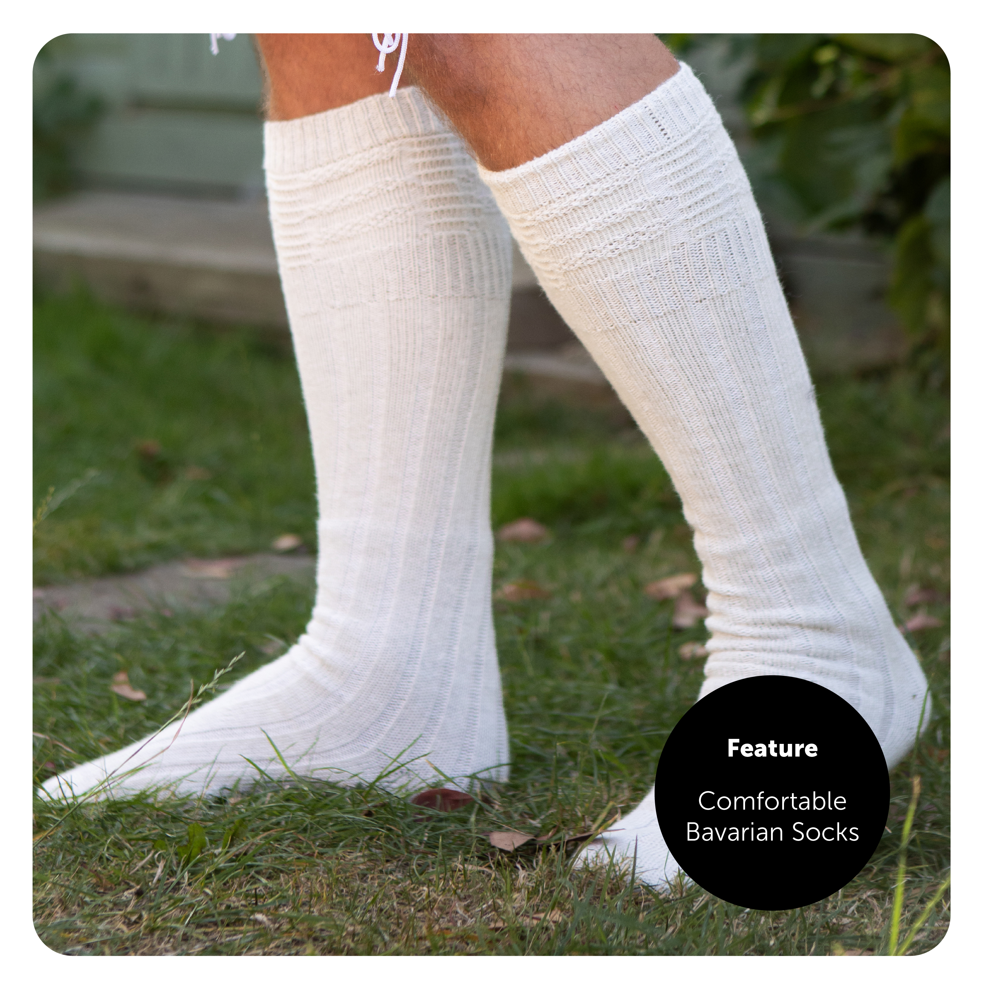 24b136a4-3f57-43ea-ae7e-a5caf68bf65c