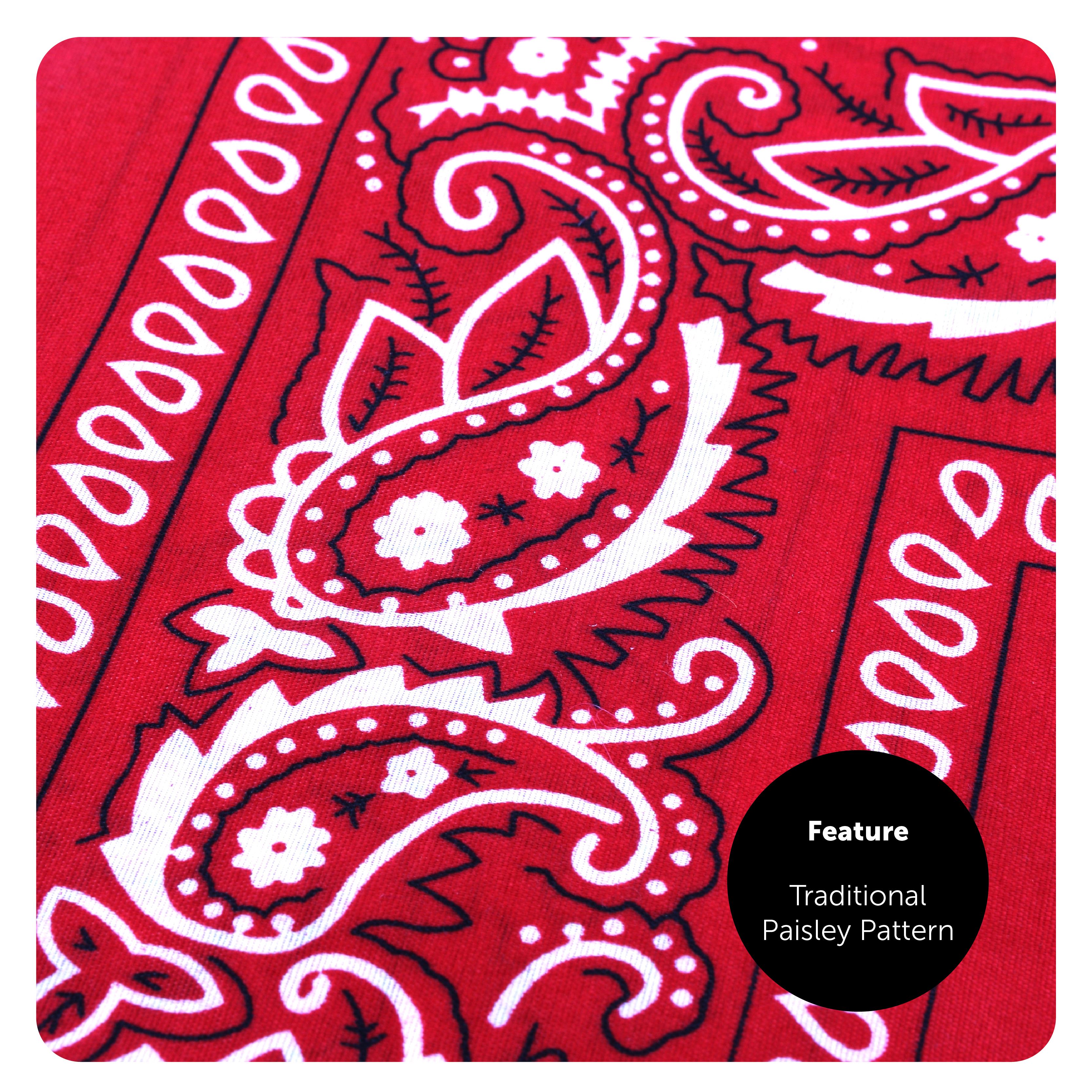 4b3e4170-84b7-4634-9411-676d7052b709