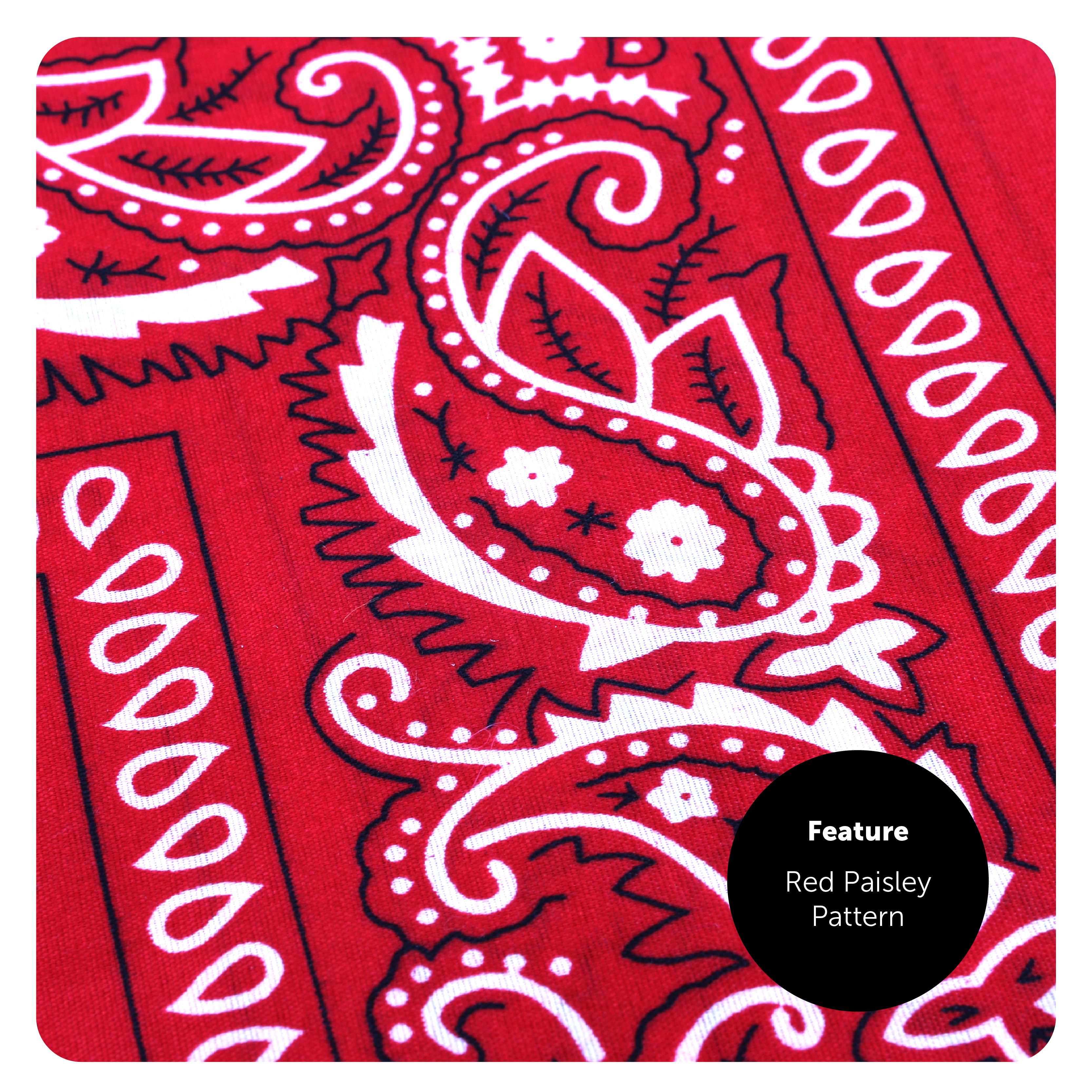 438cbe2e-3f63-410b-8cea-77dad3a78b4c