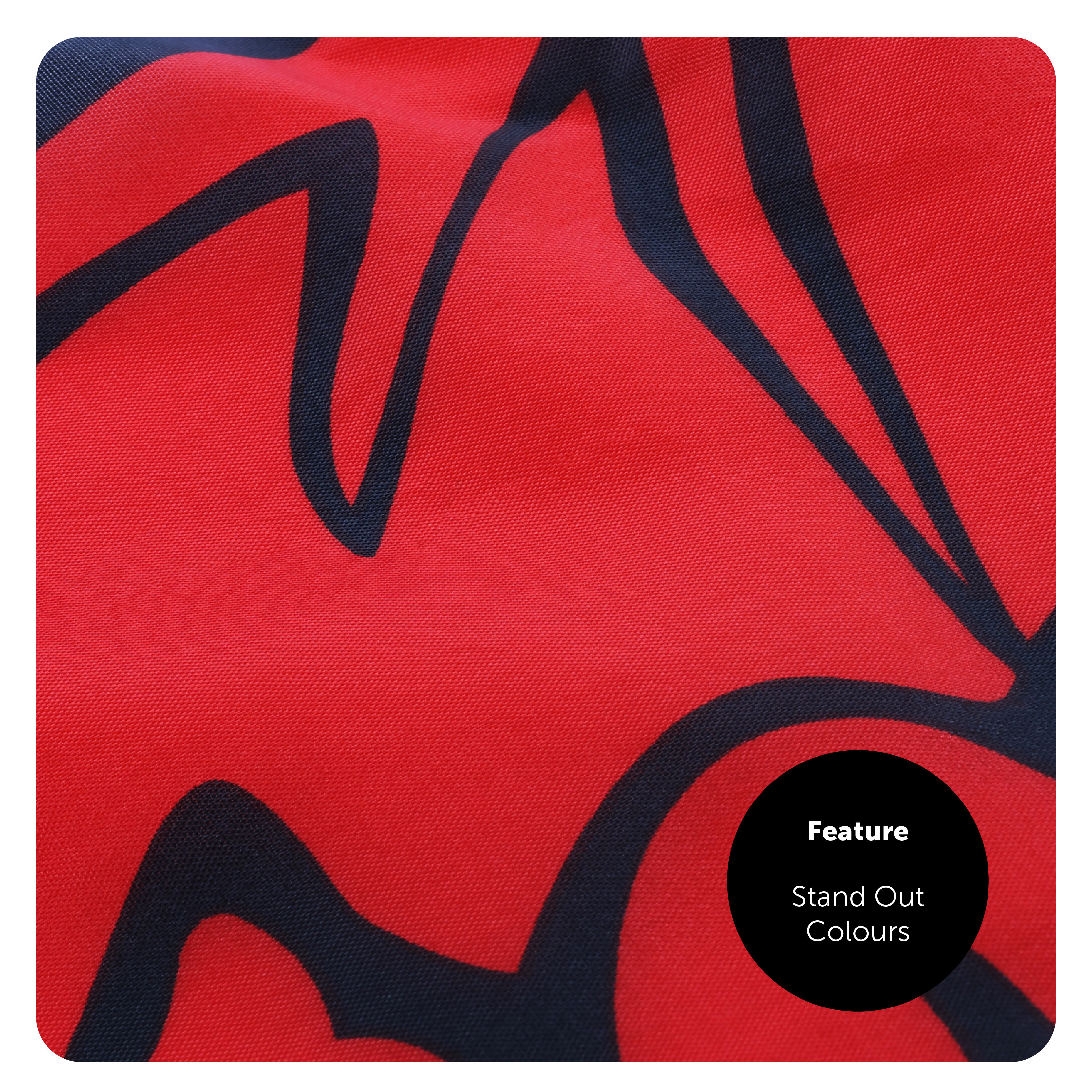 96b6dcc5-a9c6-4b05-87ad-6450acfa8698 (1)