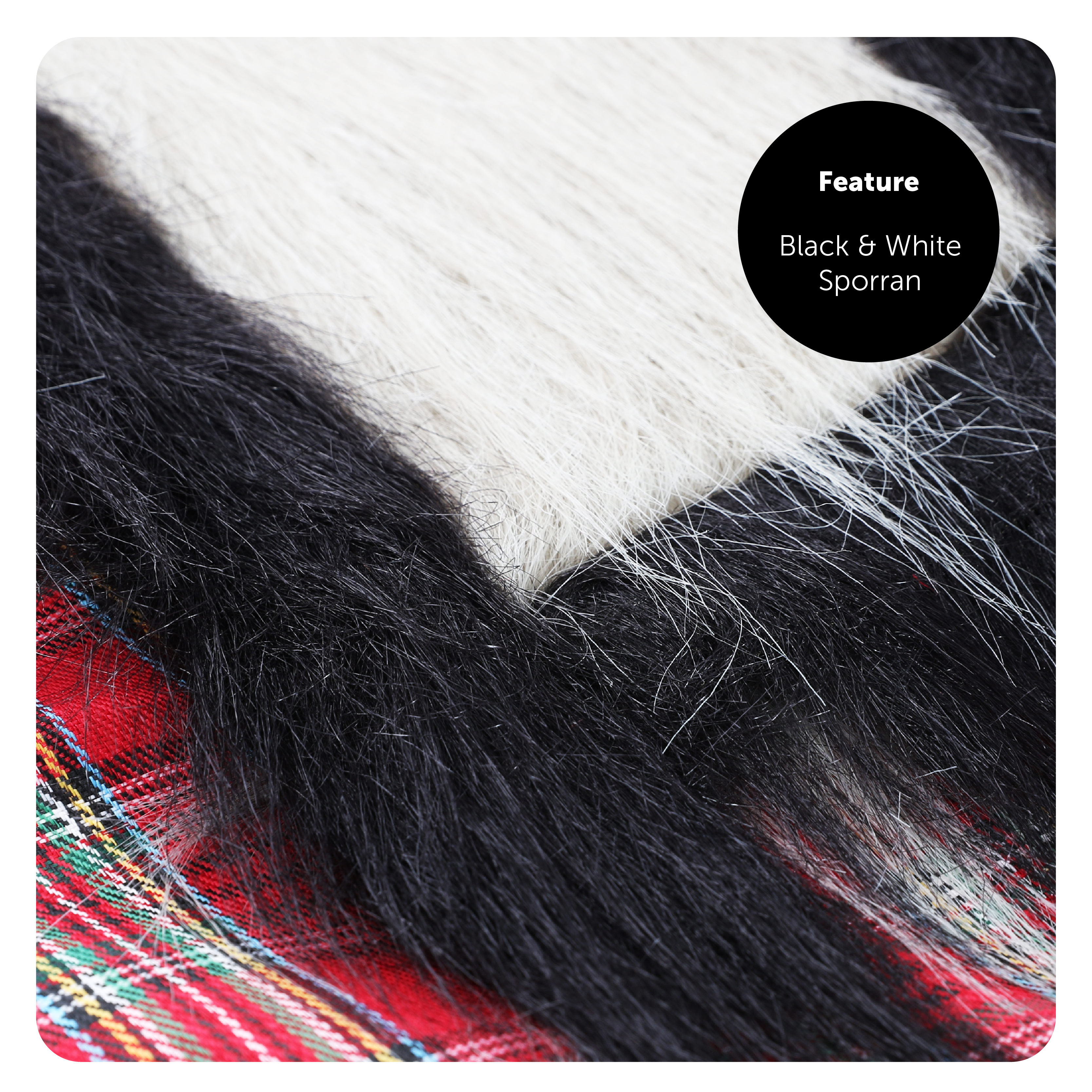 50d4b92a-ab81-4c53-b251-edd1e114bf27 (1)