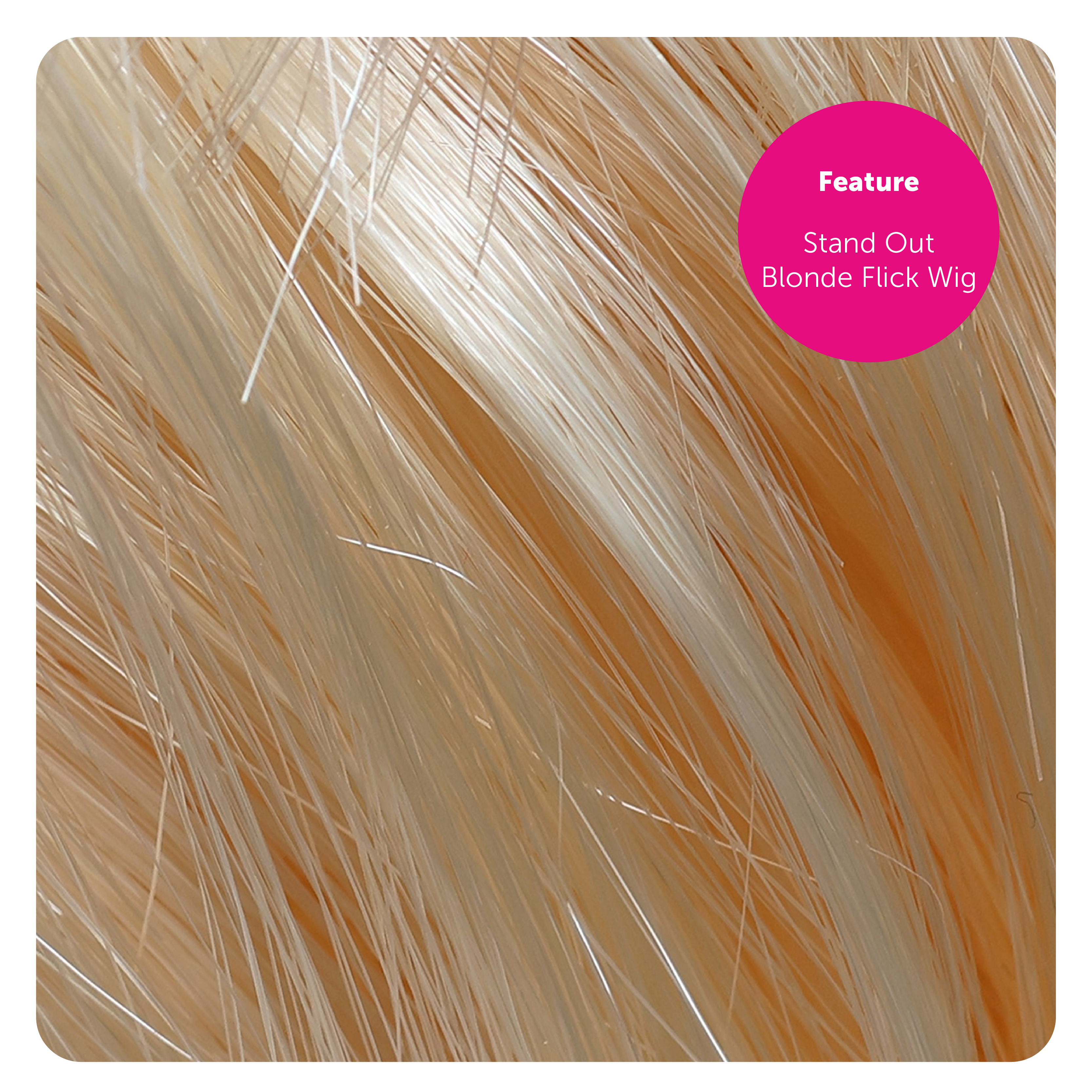 184a3135-3775-477b-be0f-e866649766ac (1)