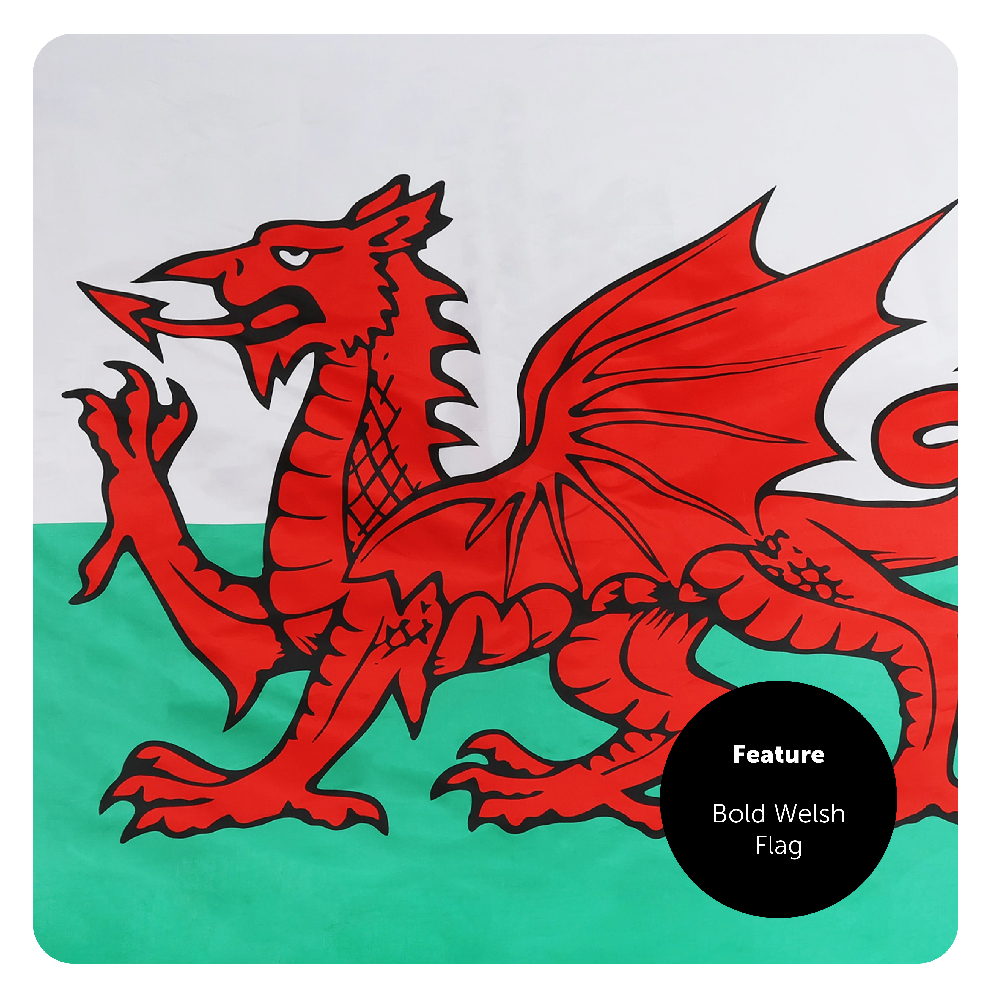 7bec0fa2-5007-4e8b-b840-55207fde01ba (1)