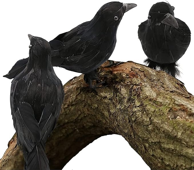 815qroG2PRL._AC_SX679