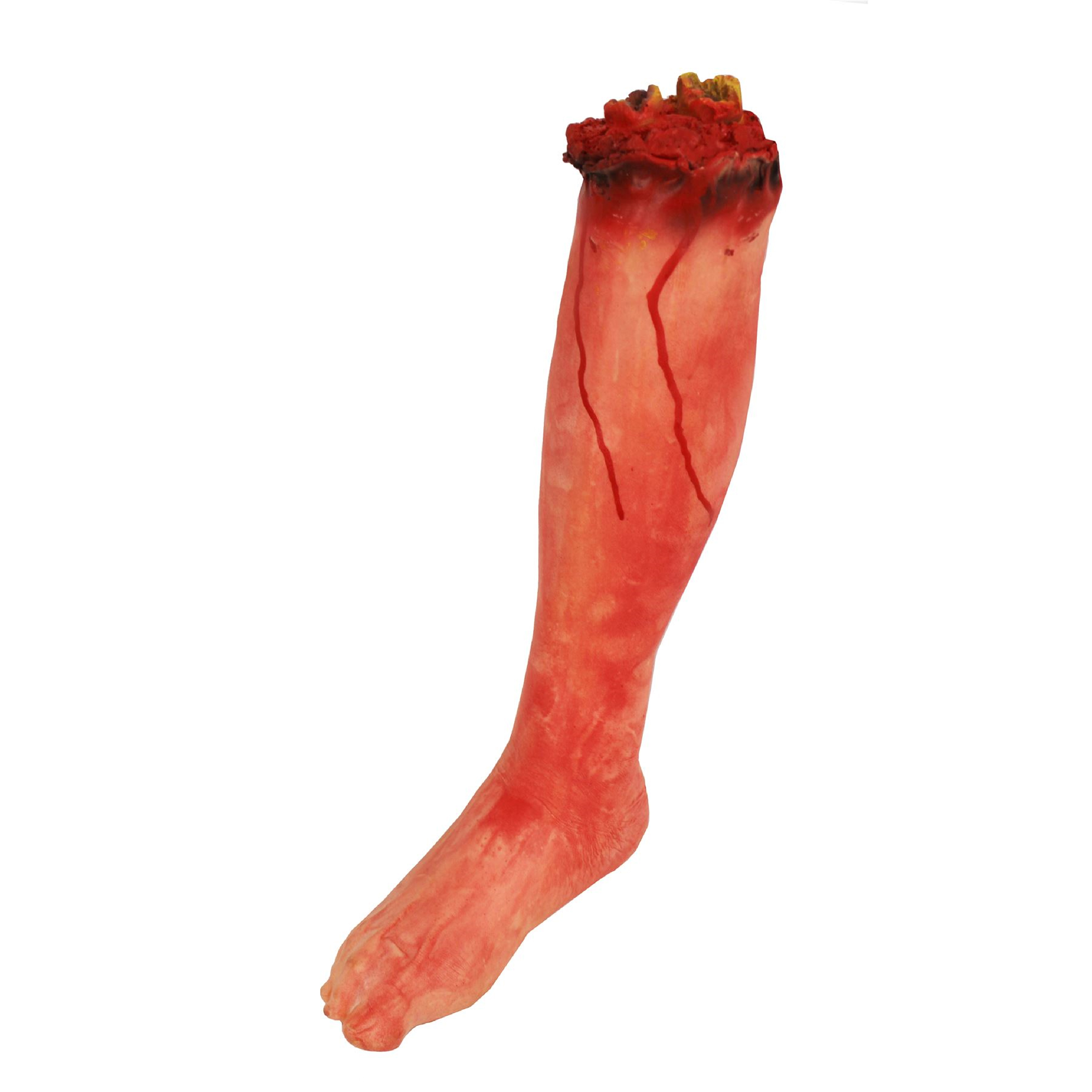 Severed Leg Prop