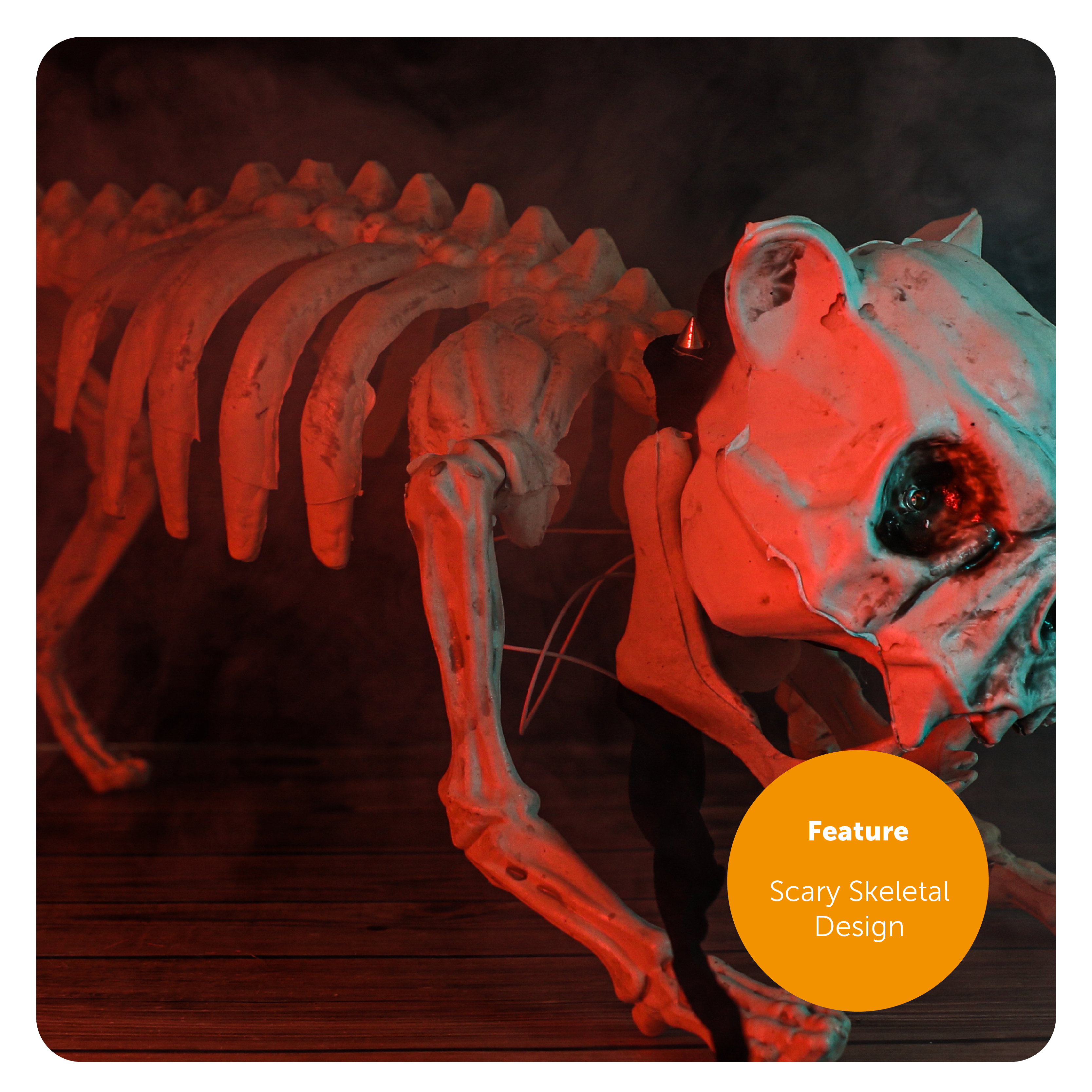 e5184843-c5b1-47b7-89c2-e9f220487a83