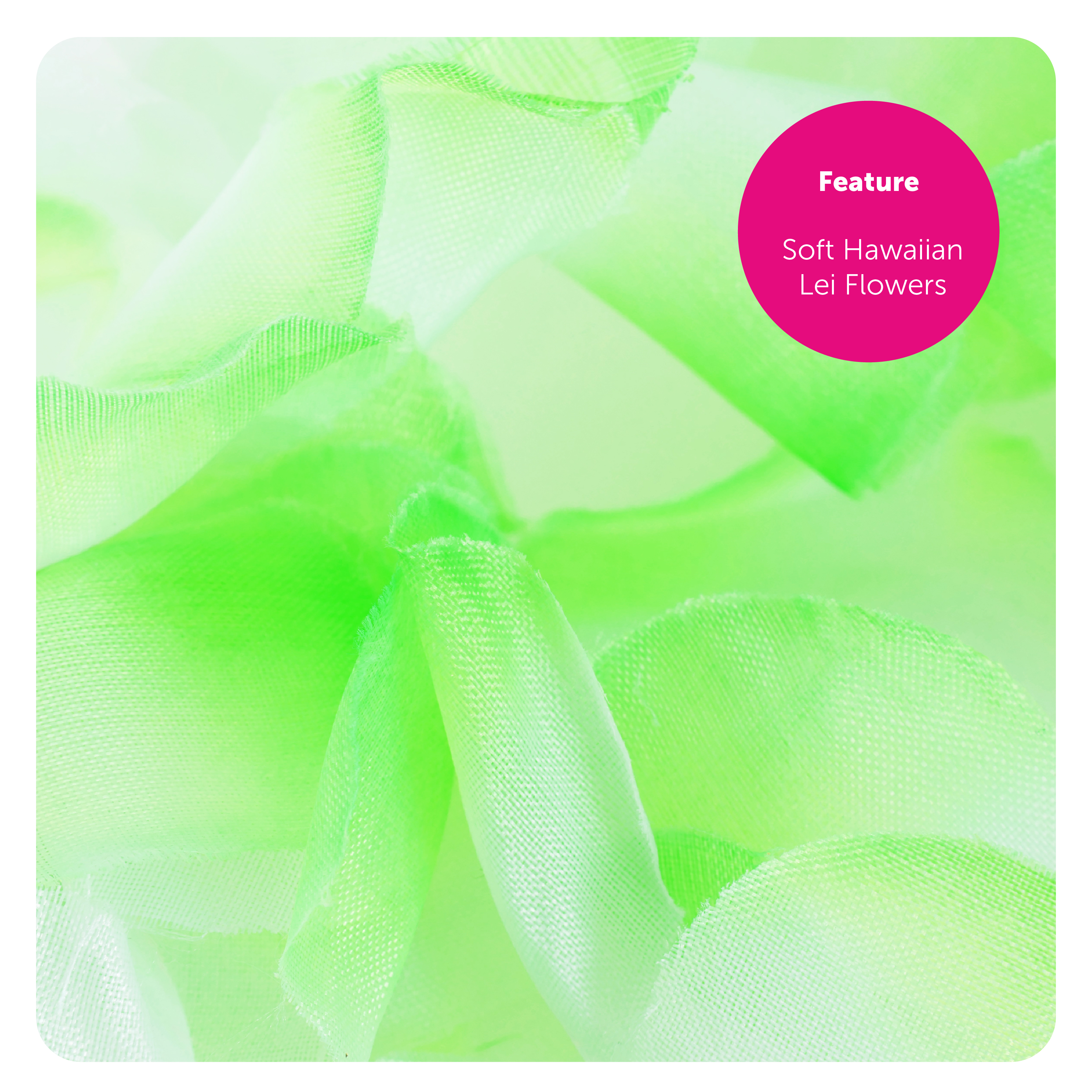 d2e657f6-a109-45da-b67e-7776e1ba7698