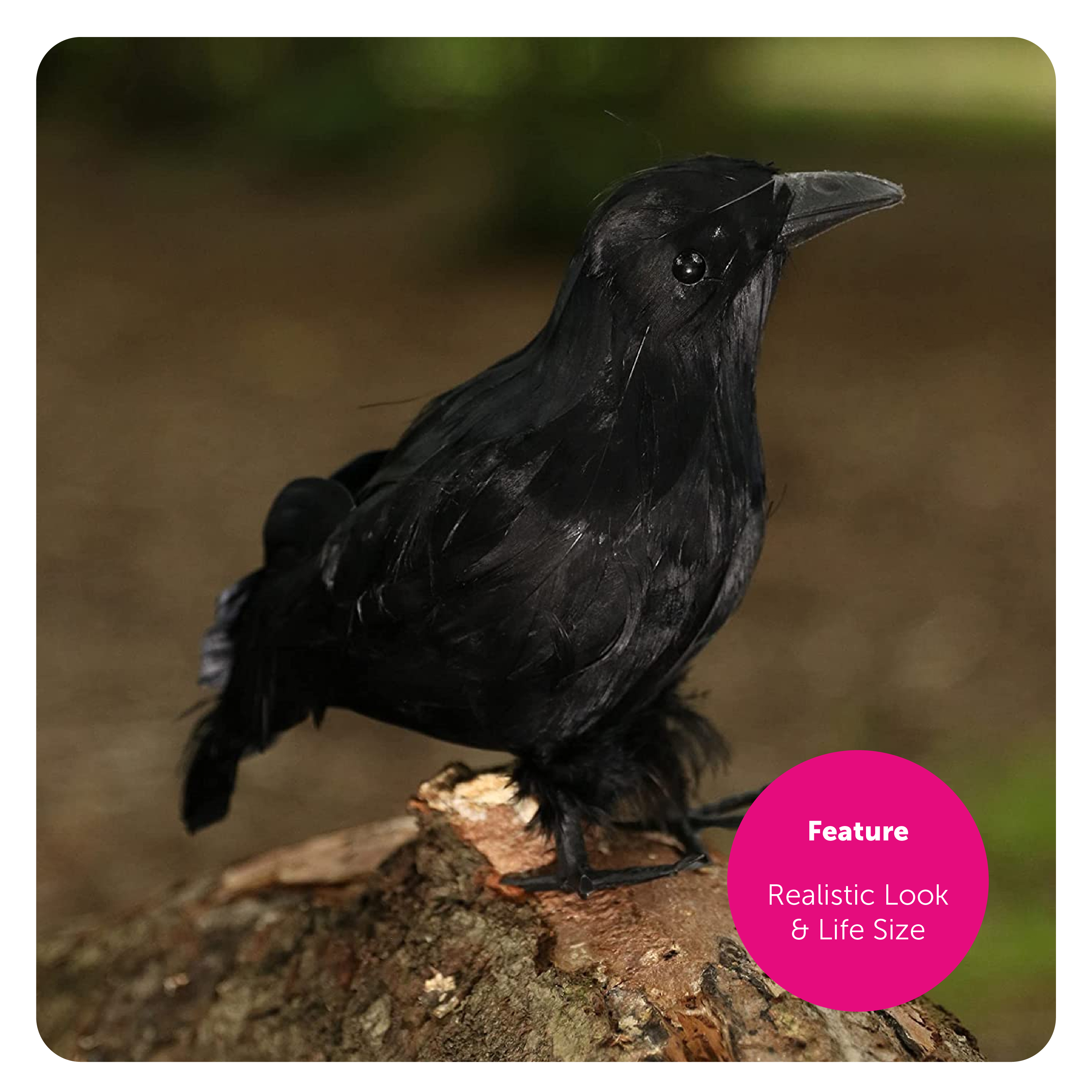 fc9f2d11-3e32-4cb7-92d7-54f16a4668aa (1)