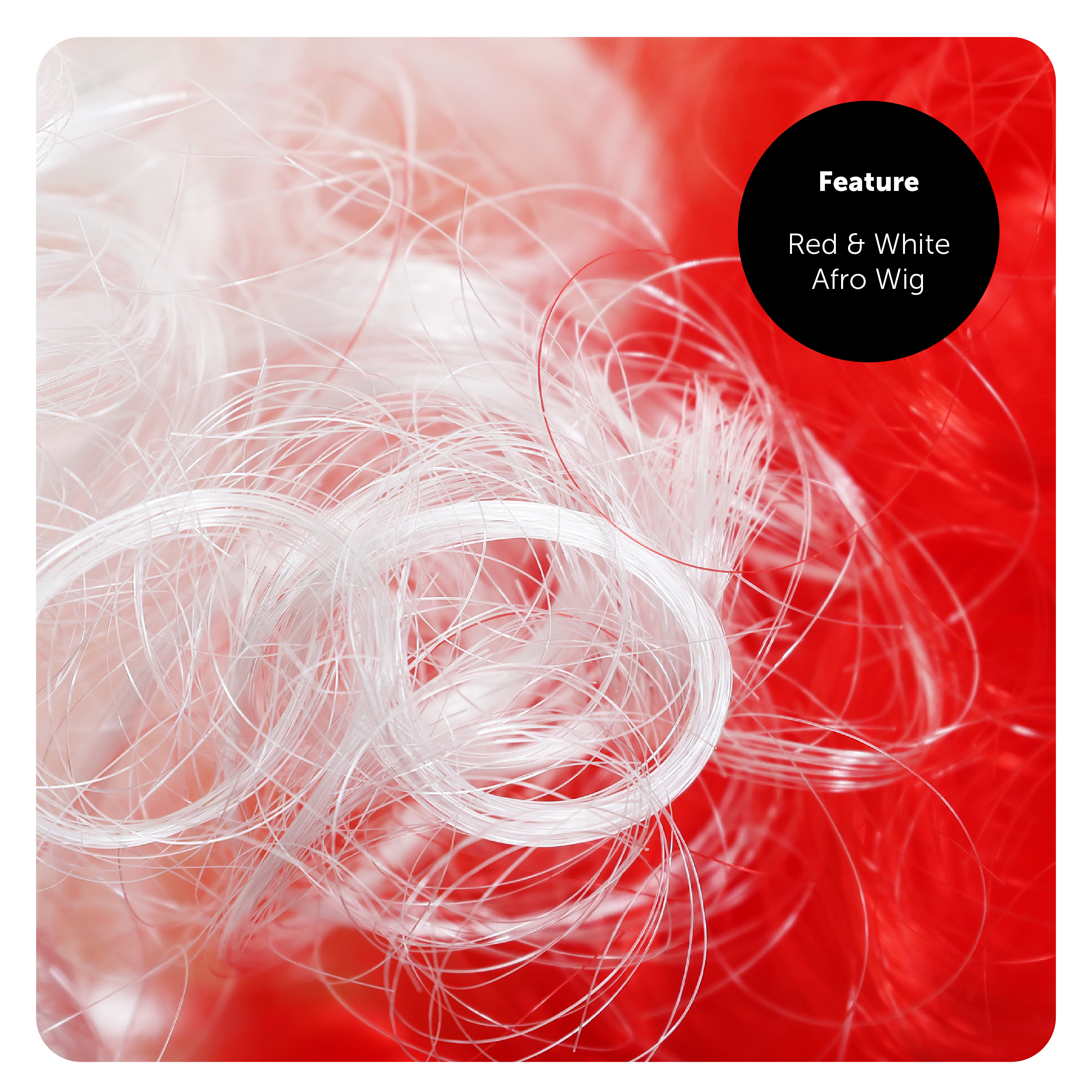 2d6bb2b6-27fd-44b6-bad0-b84d56844e2f (1)