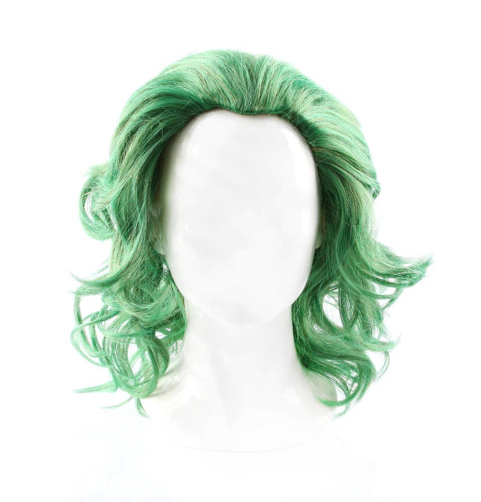 Adults Green Villain Wig