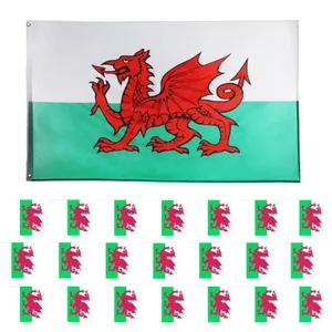 Wales Flag Bunting + Wales 3x5ft Flag