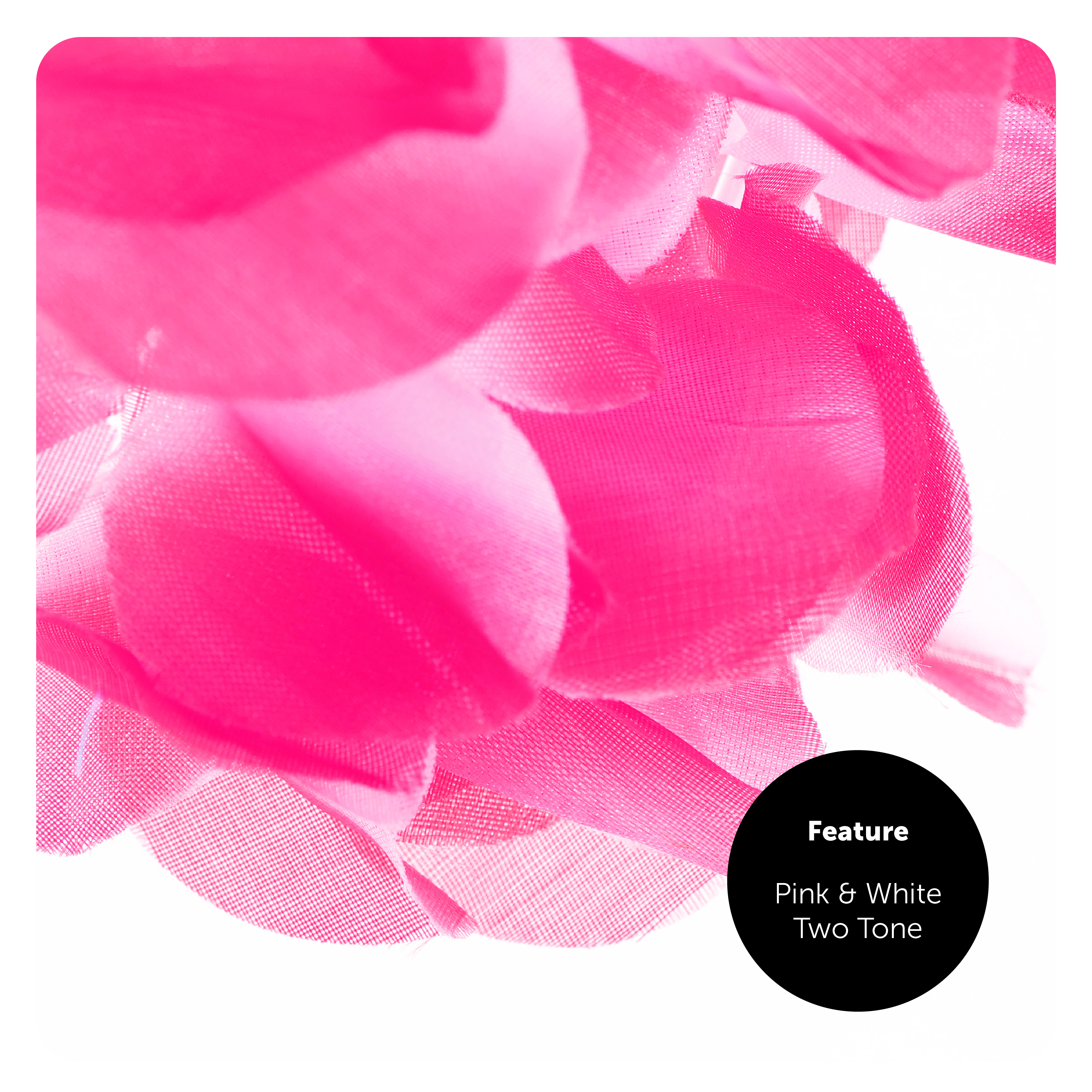 aebea432-fe0d-4986-a8c8-7a7f55fd498d