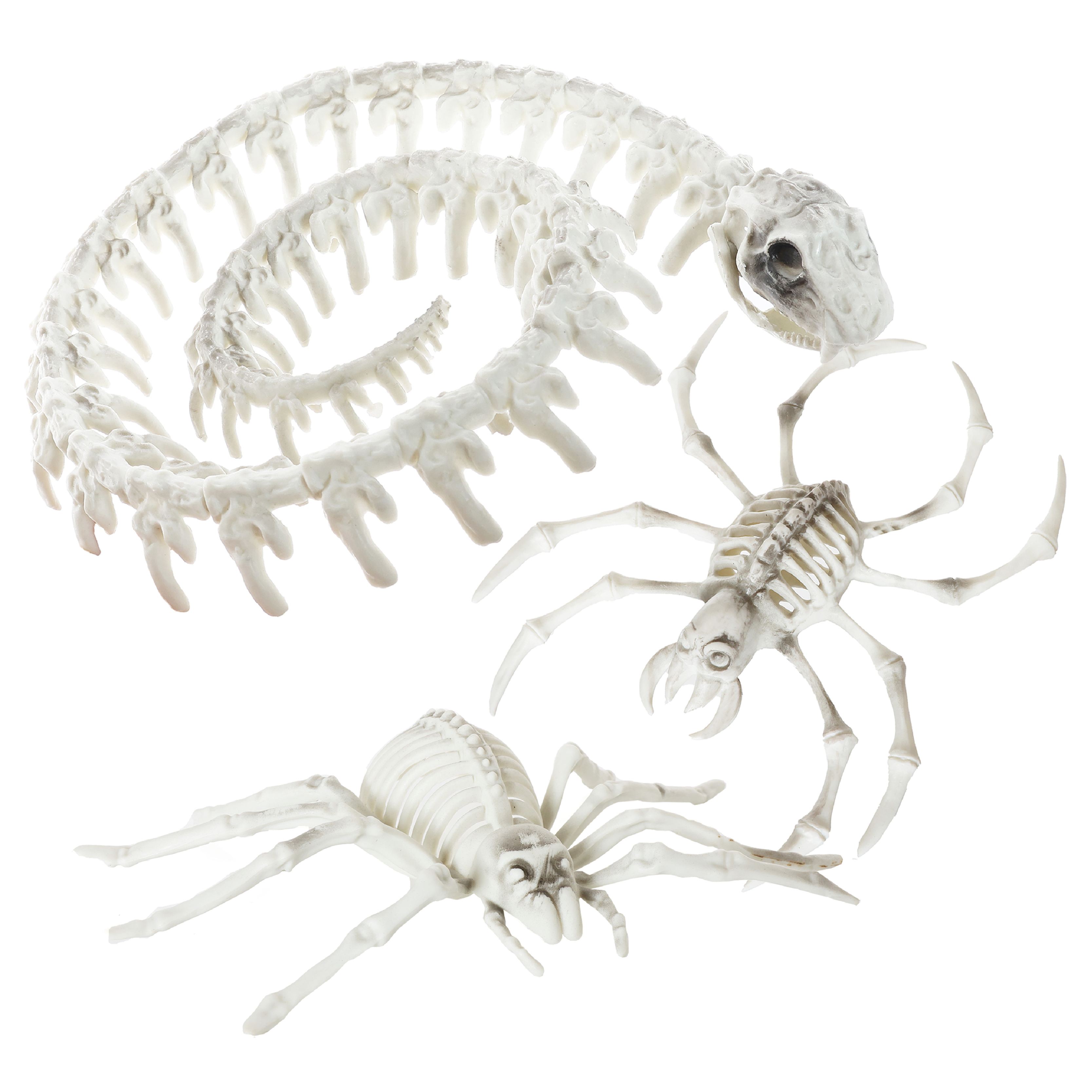 Plastic Animal Skeleton Pack | 3 Pcs | Snake, Spider & Crab