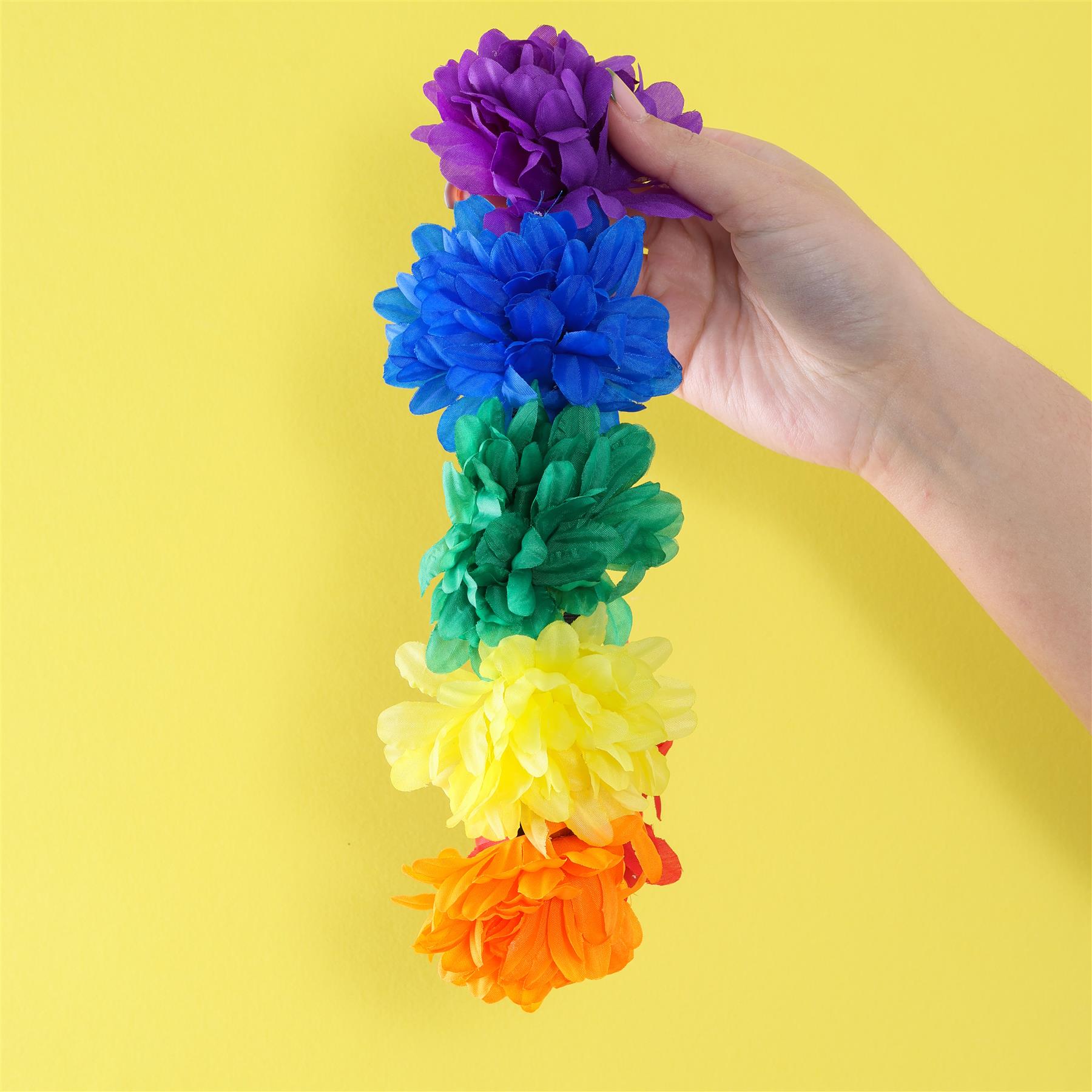 494bff36-e6c3-4fa6-bcc0-1bde4b584446