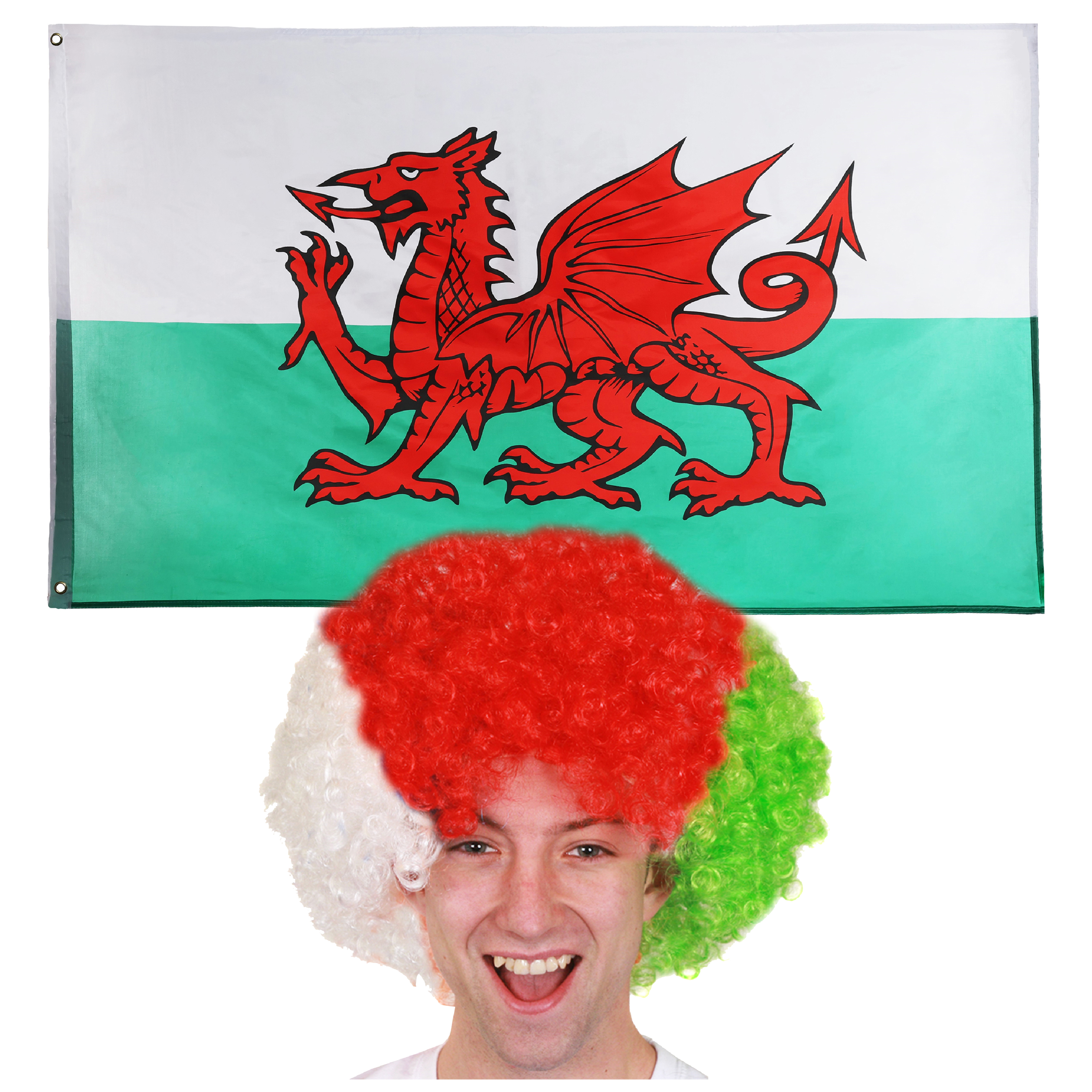 Wales Afro Wig + Wales 3x5ft Flag