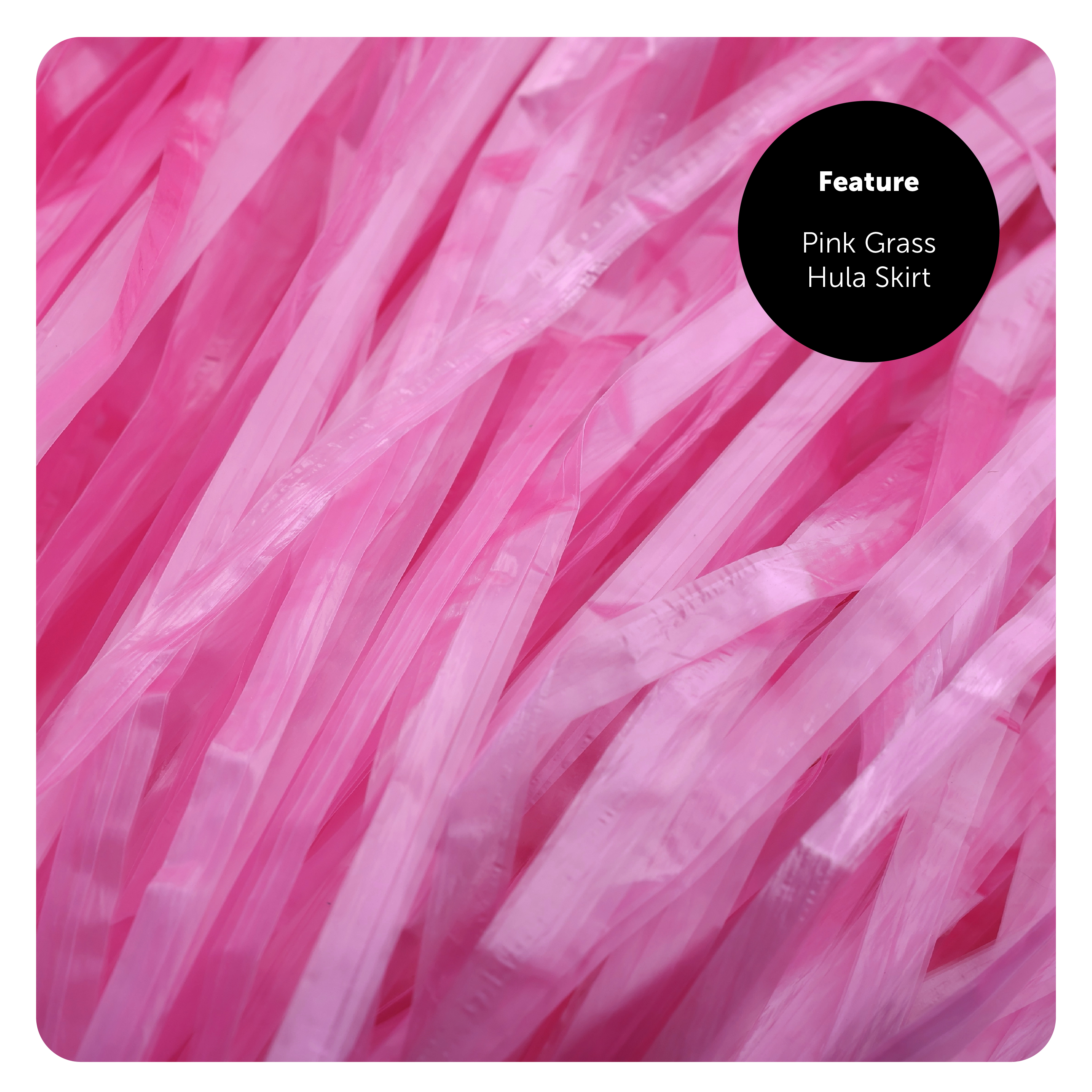 456ab563-5454-4e6e-952f-27f554988817 (1)