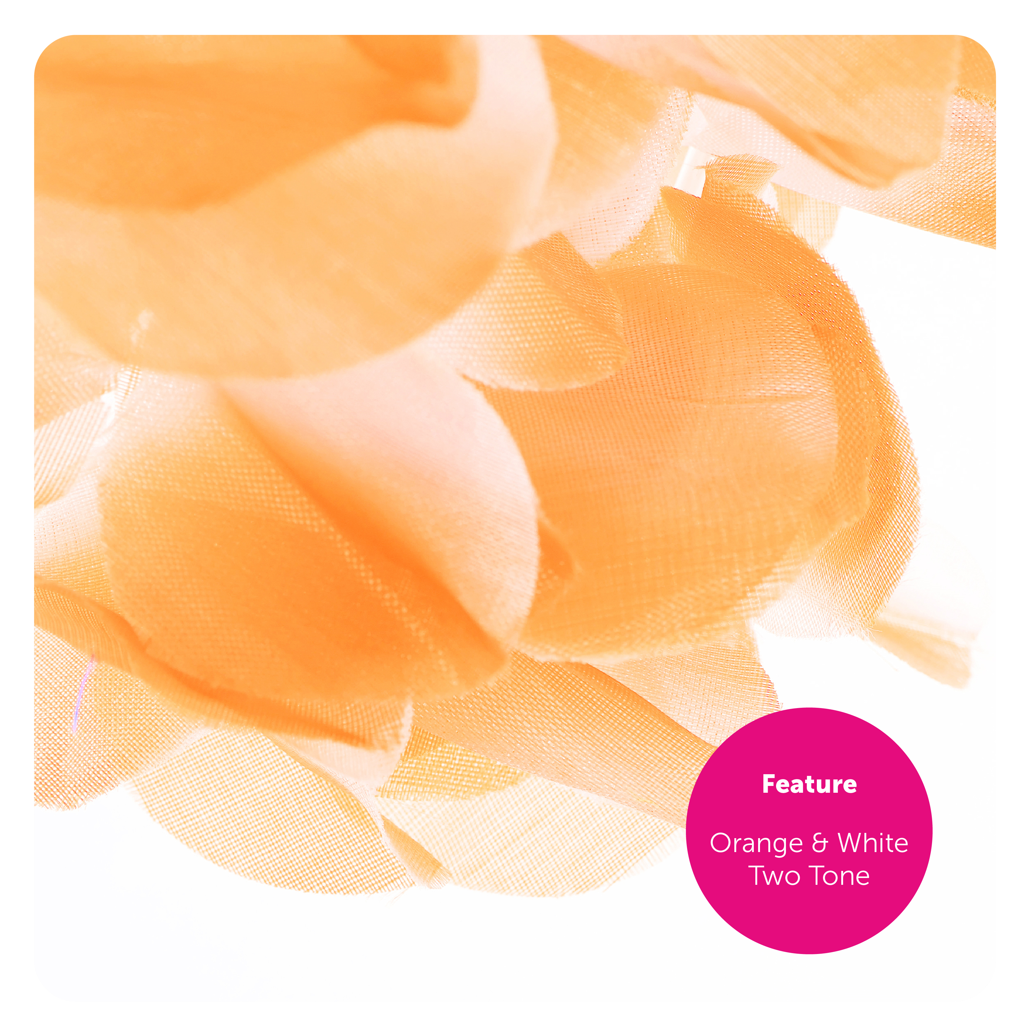 df43f377-581f-4bfe-b8fe-76cc0f1bf509