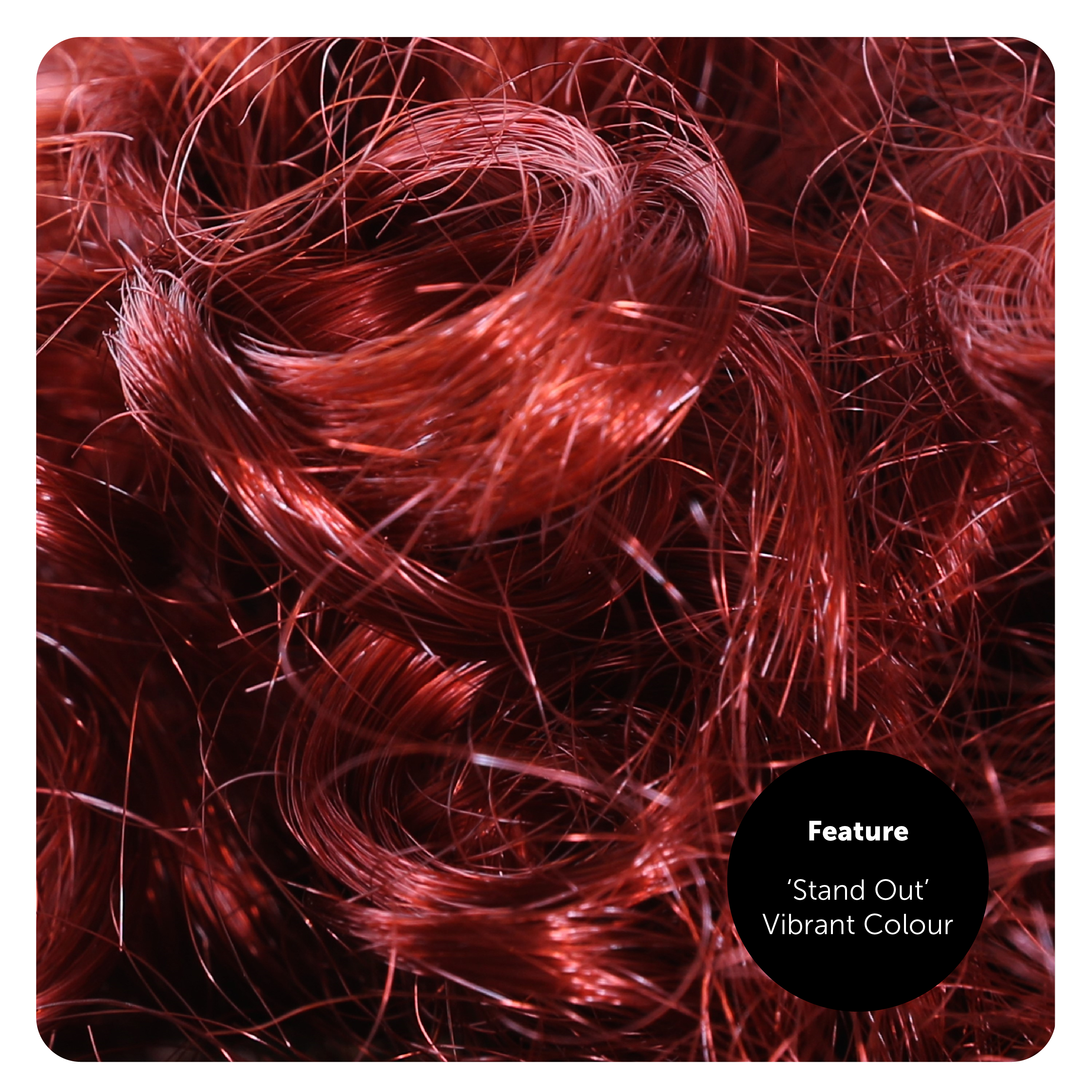 e2f86d8d-39bc-42a5-bc2f-5731a01a375b (1)