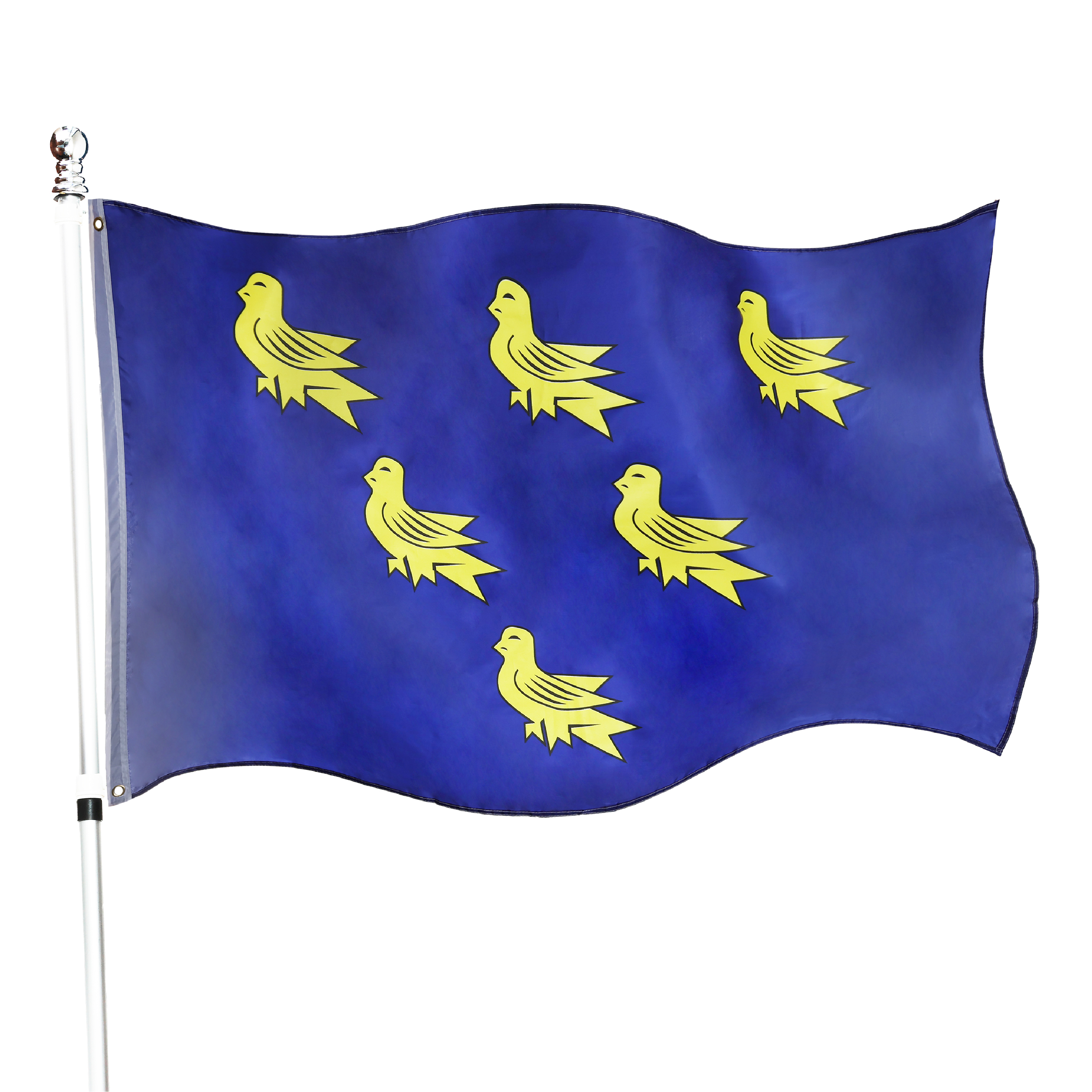 Large 5ft x 3ft Sussex Flag