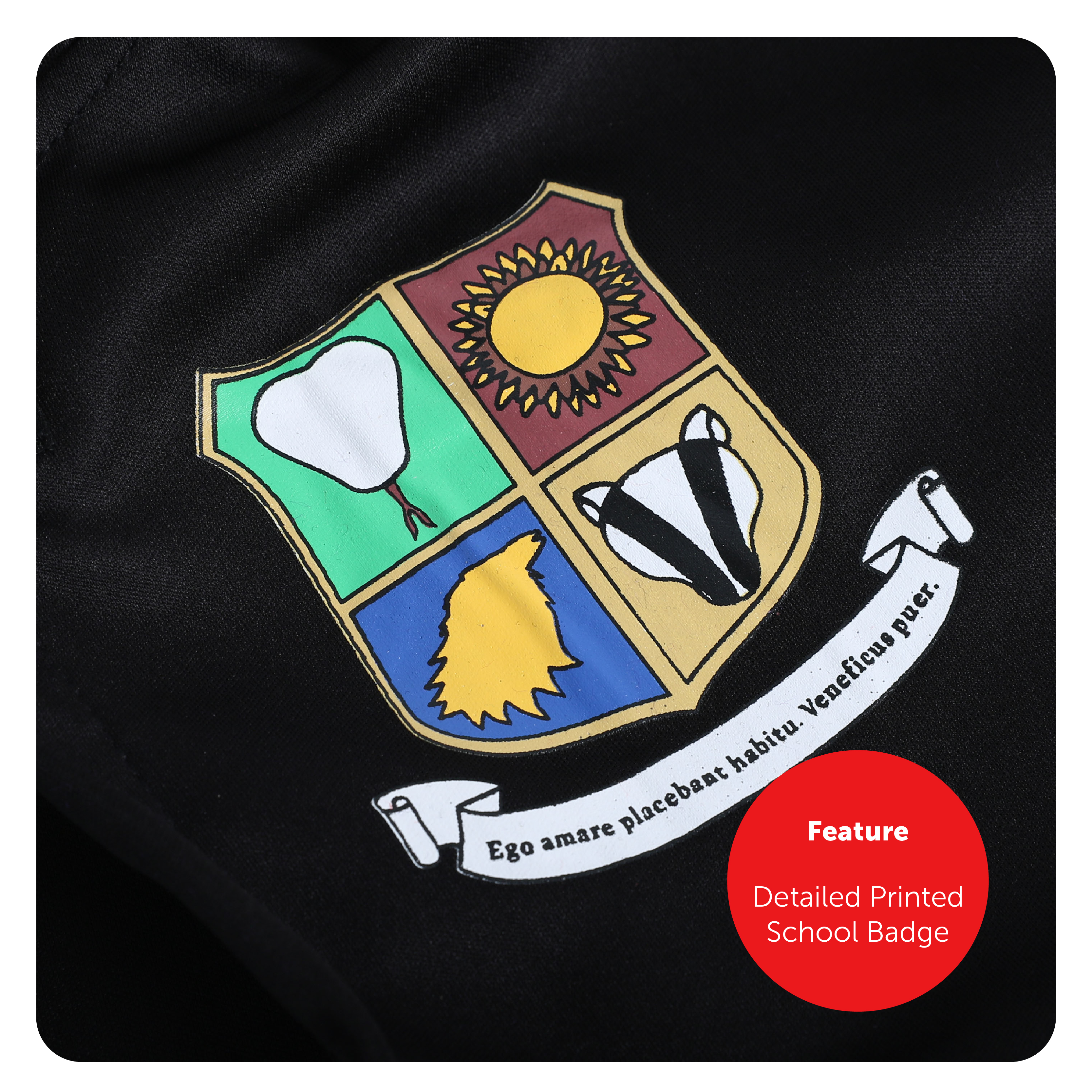 a8c3430f-f0c0-4fb6-9e5f-6d218ed9660d