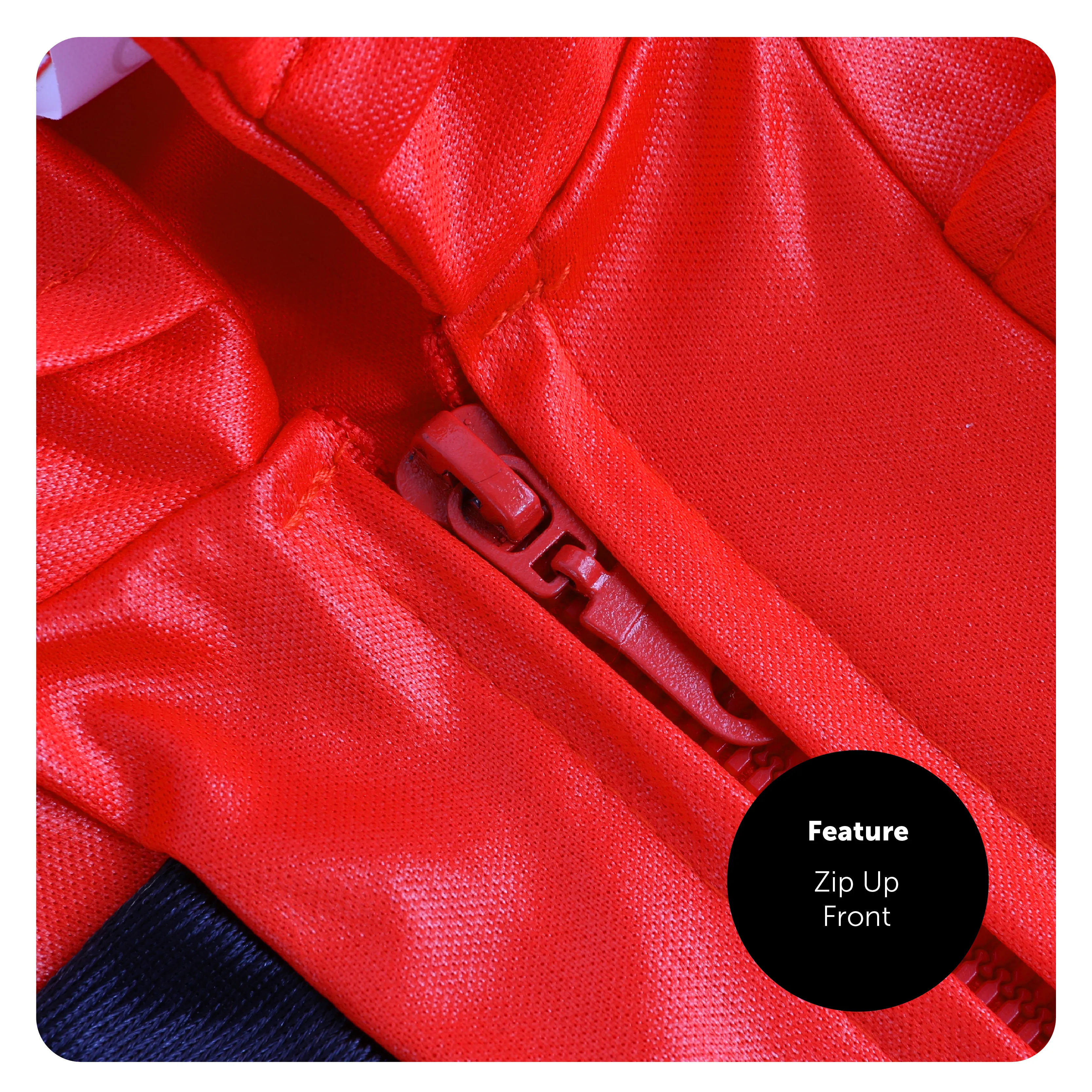 f1320994-394b-4e8f-b275-1cd0d518c296