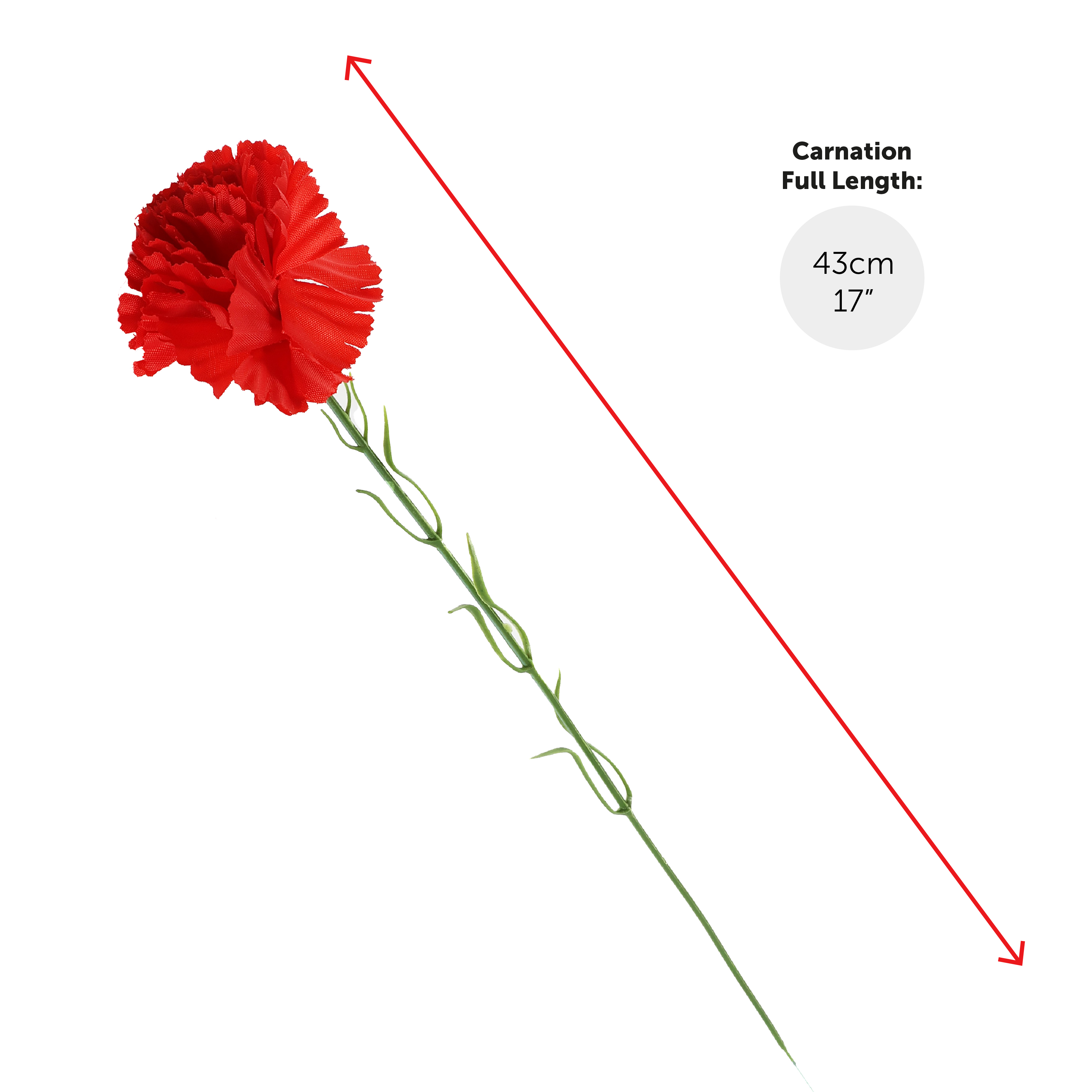 2fcdda06-0b64-41ef-9838-66ebb175137c (1)