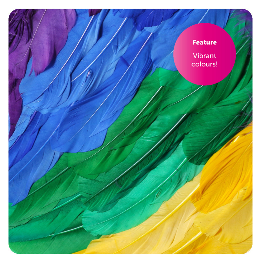 0333224a-c1ac-4806-a9d4-dd111337468e