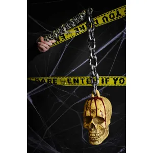 Skull on Chain Weapon