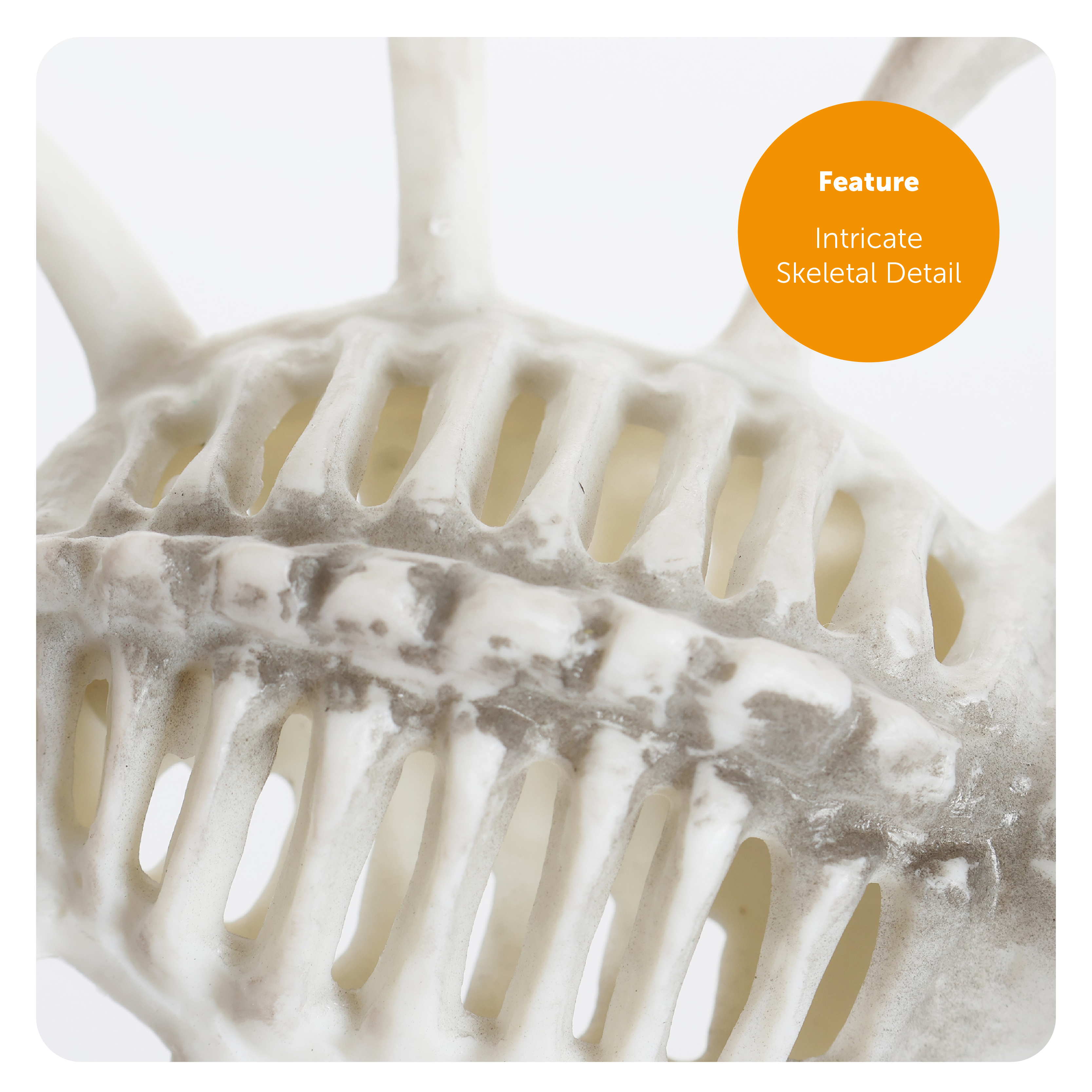 2068bfb9-5b4f-49aa-b995-5ad5ba954600