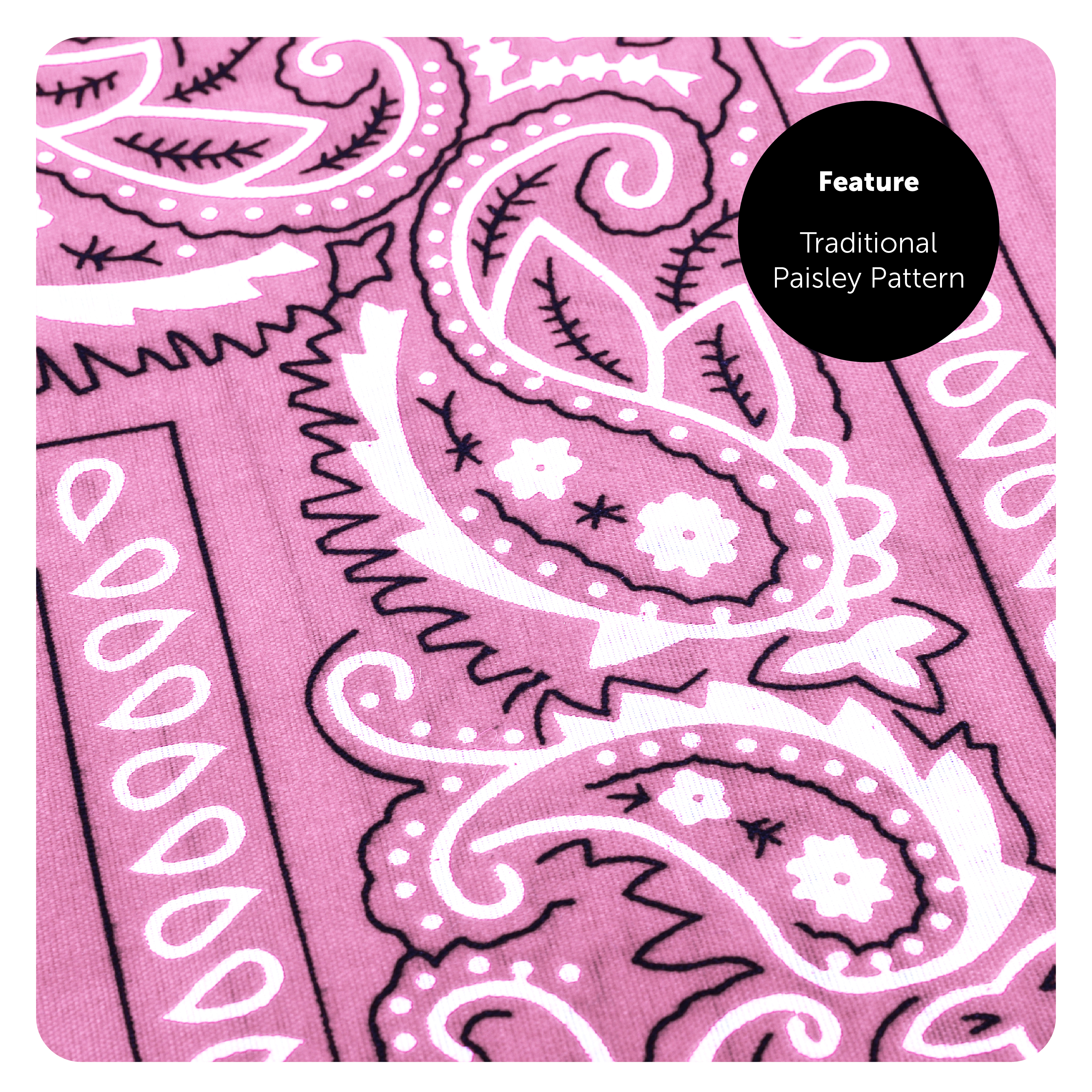 fc9d0e03-93a1-48e4-8cfa-7aacf37c0a6a