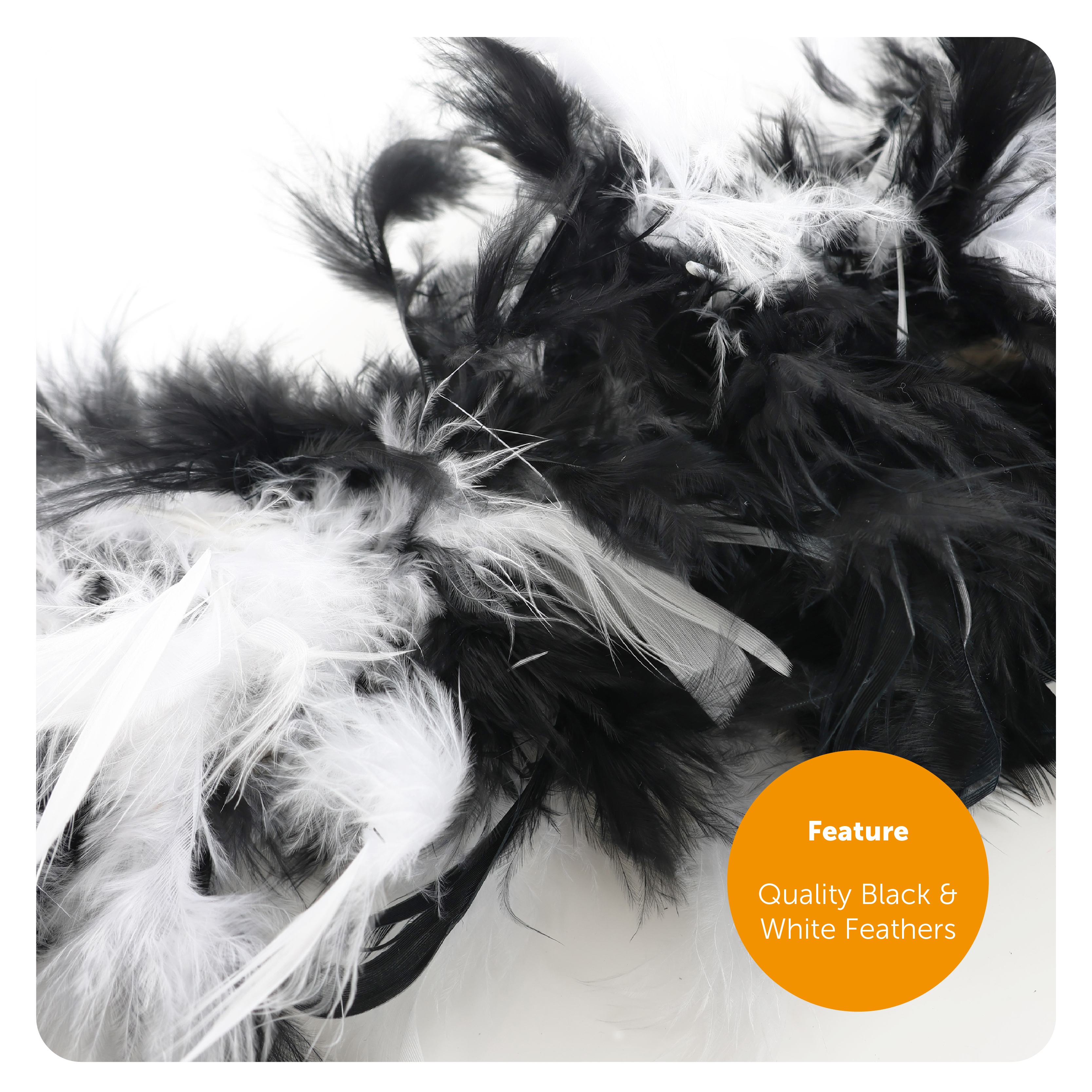 EDL-BOB-RG-MIX+CIG-4