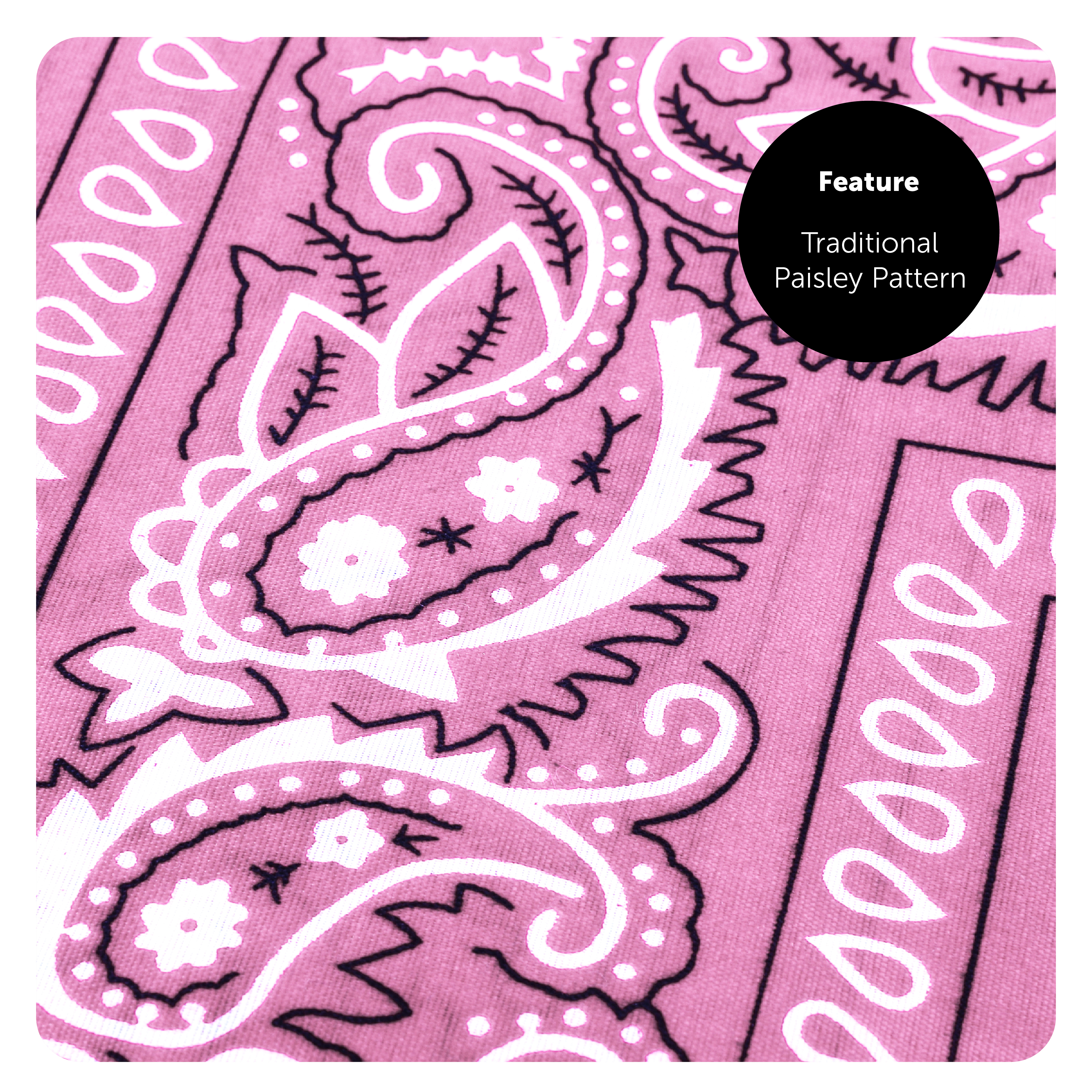 27a240e6-3c9e-472d-a590-7caee78bb6dd