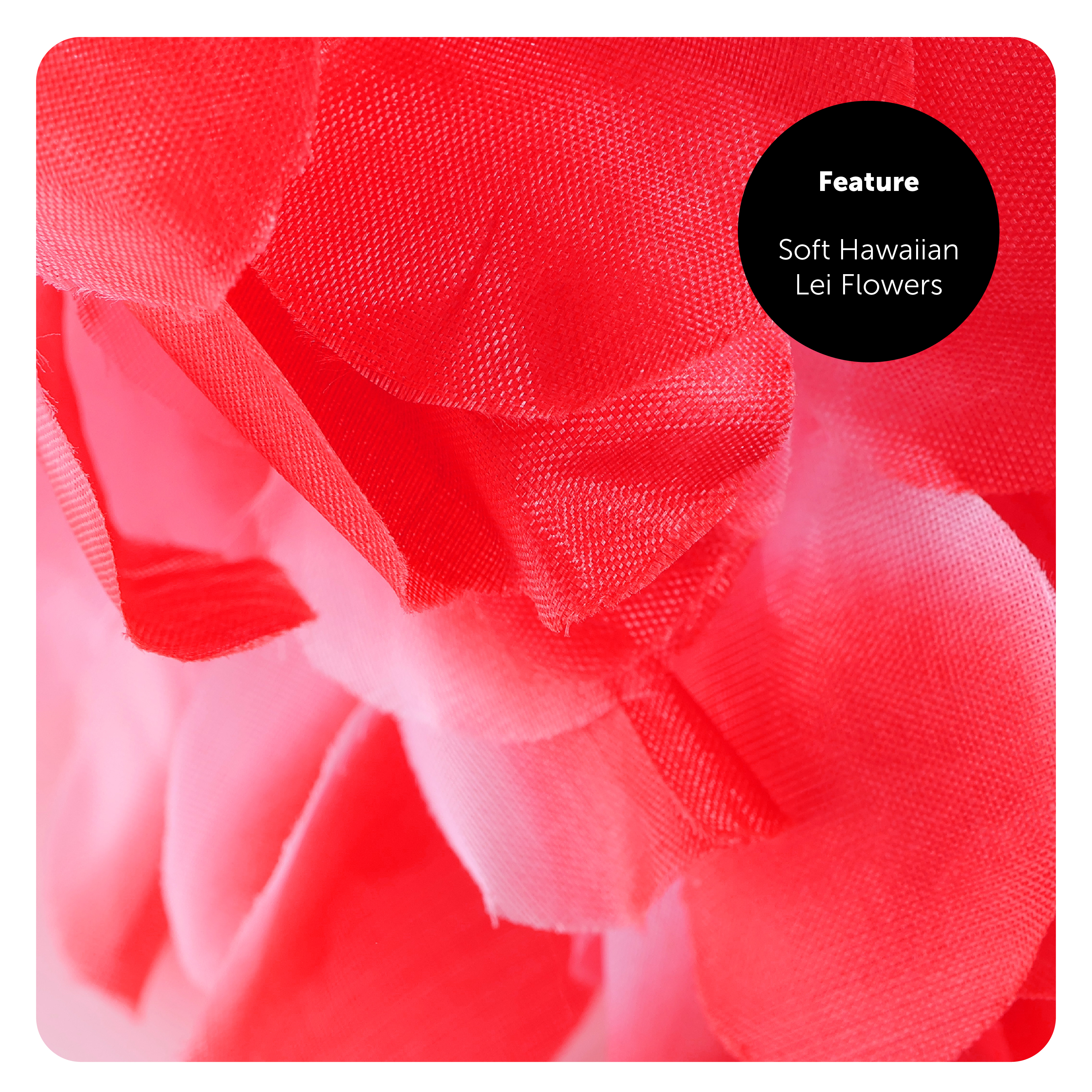 ba9fc18c-ed5c-43ed-baa9-fa250725f4d4