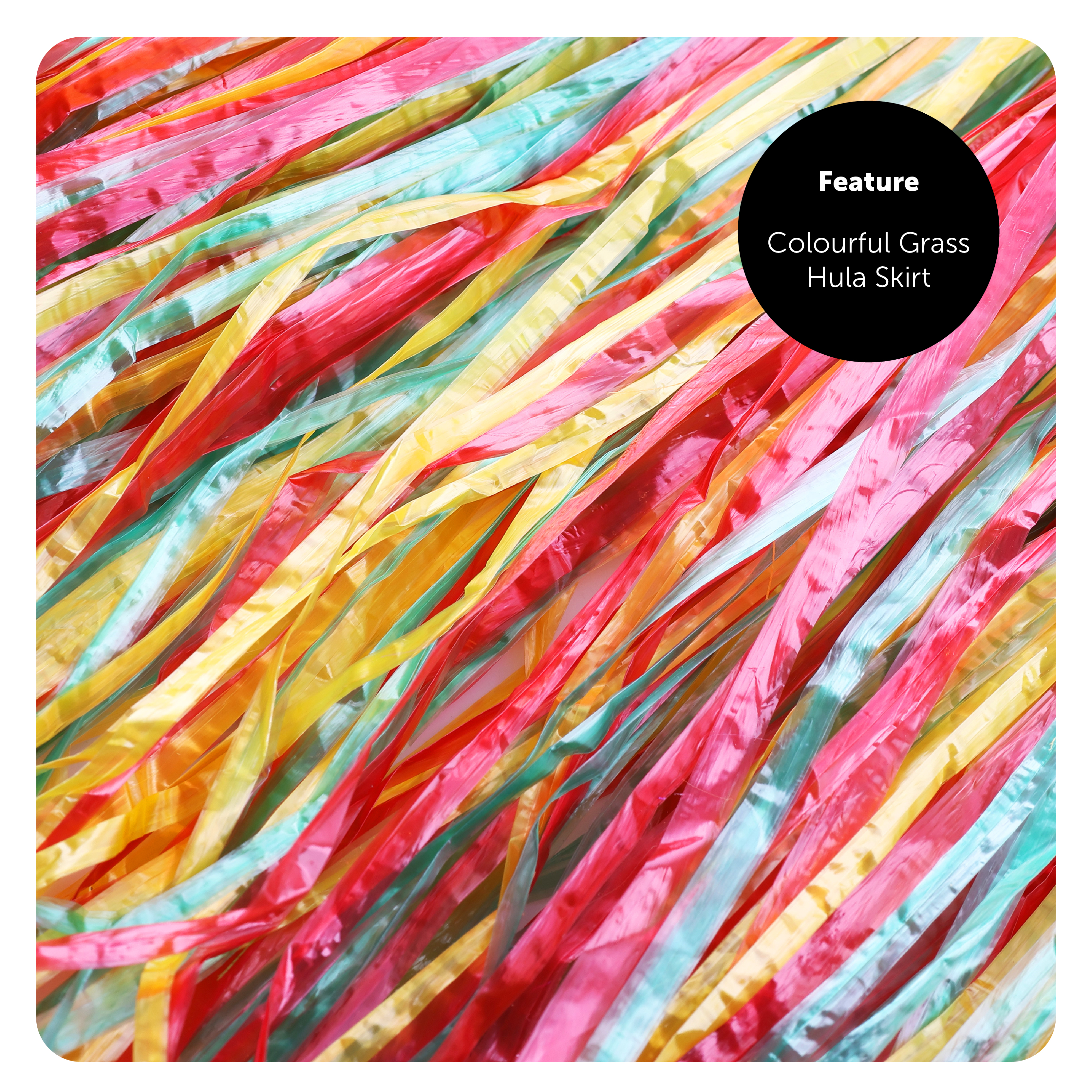 6028c556-2443-4cd4-98bd-4a87a0196e9b (1)