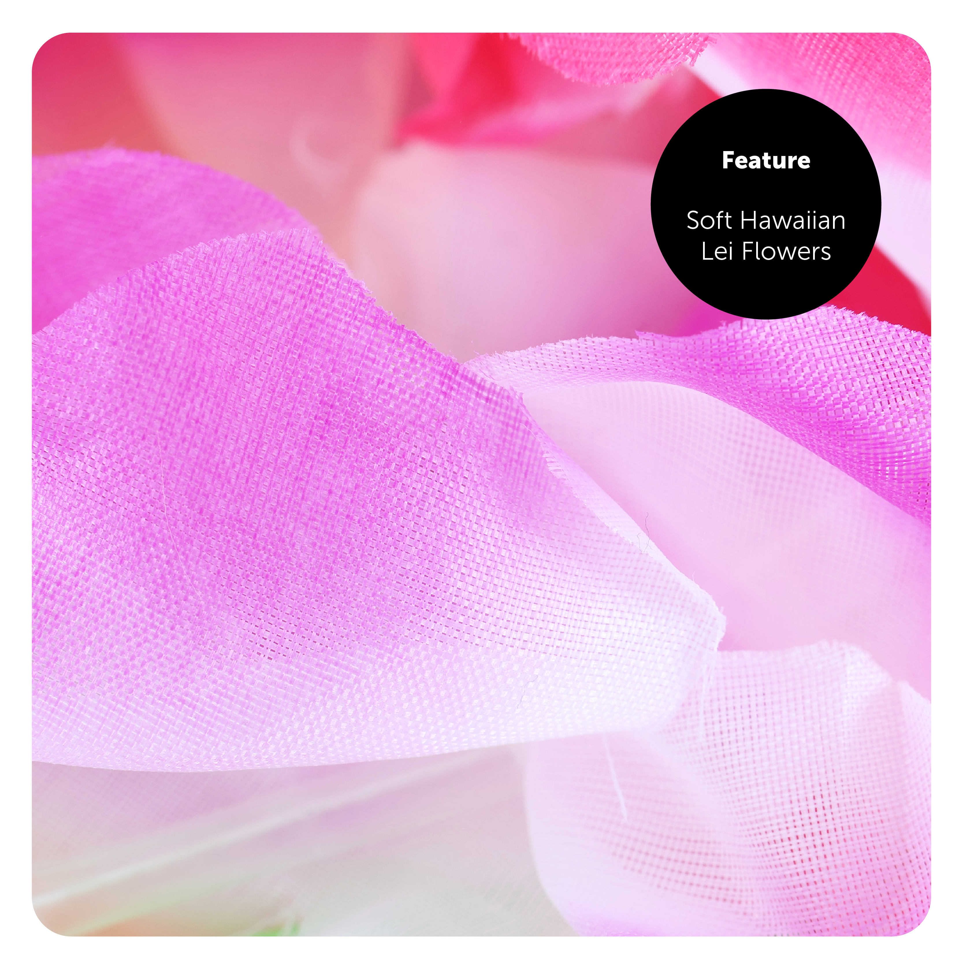 27821923-37db-4b93-89ba-639ec5faa808