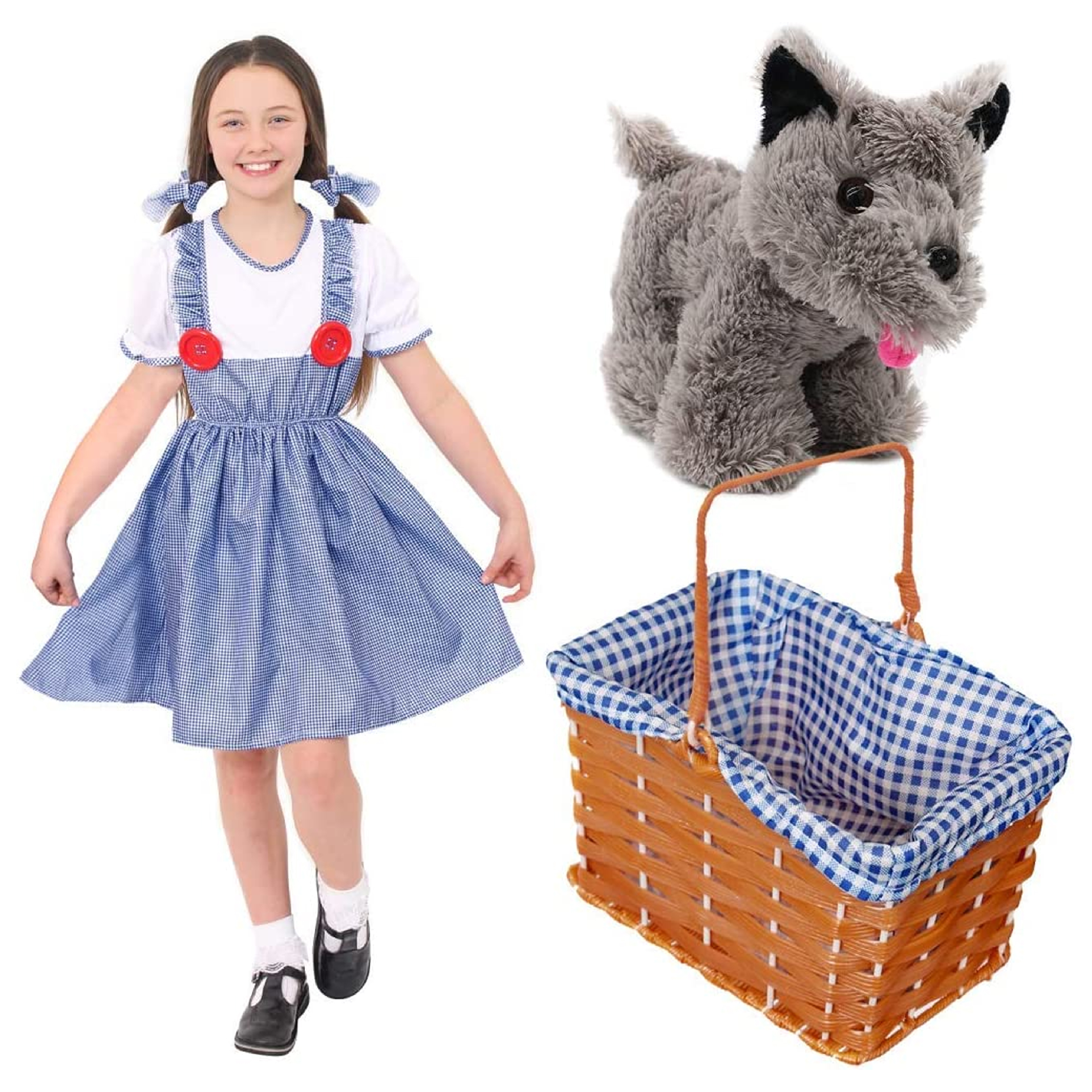 Kansas Girl Costume with Accessory Set
