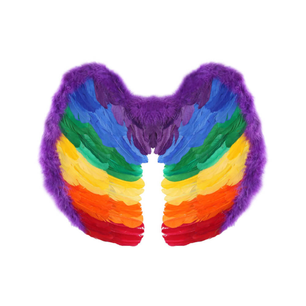 Rainbow Feathered Wings
