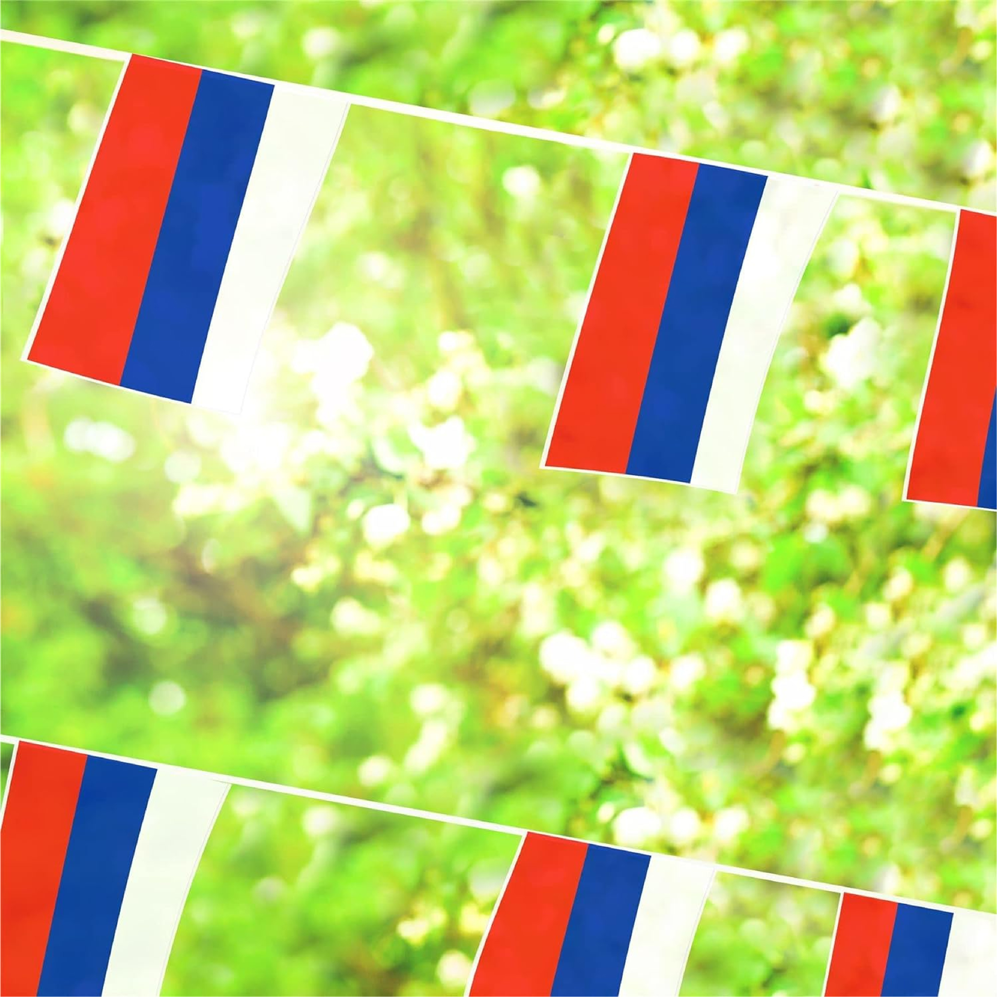 f4e25bfa-3a71-4fda-876c-39e918d6248d (1)