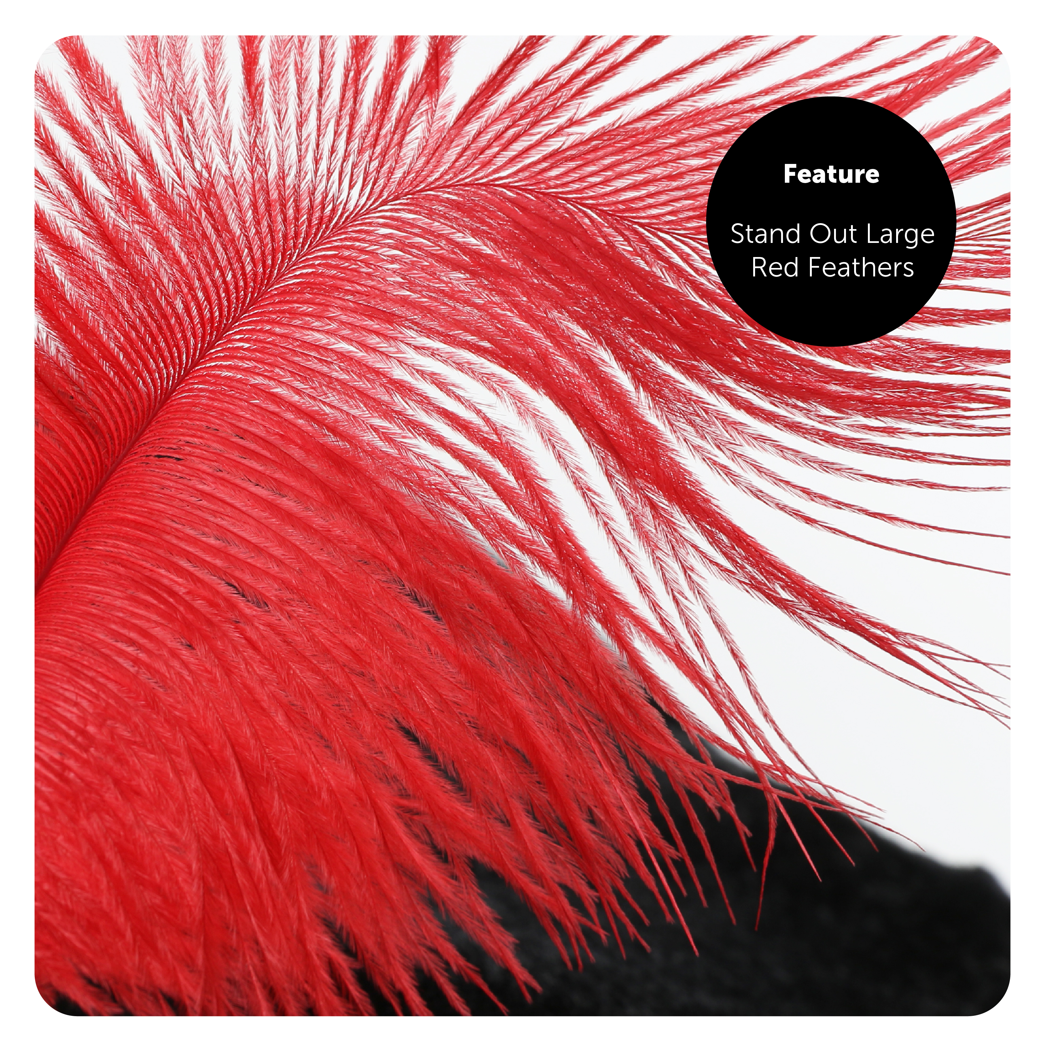 302873c8-4ff8-4bdb-bd9a-5a6159447bc5 (2)