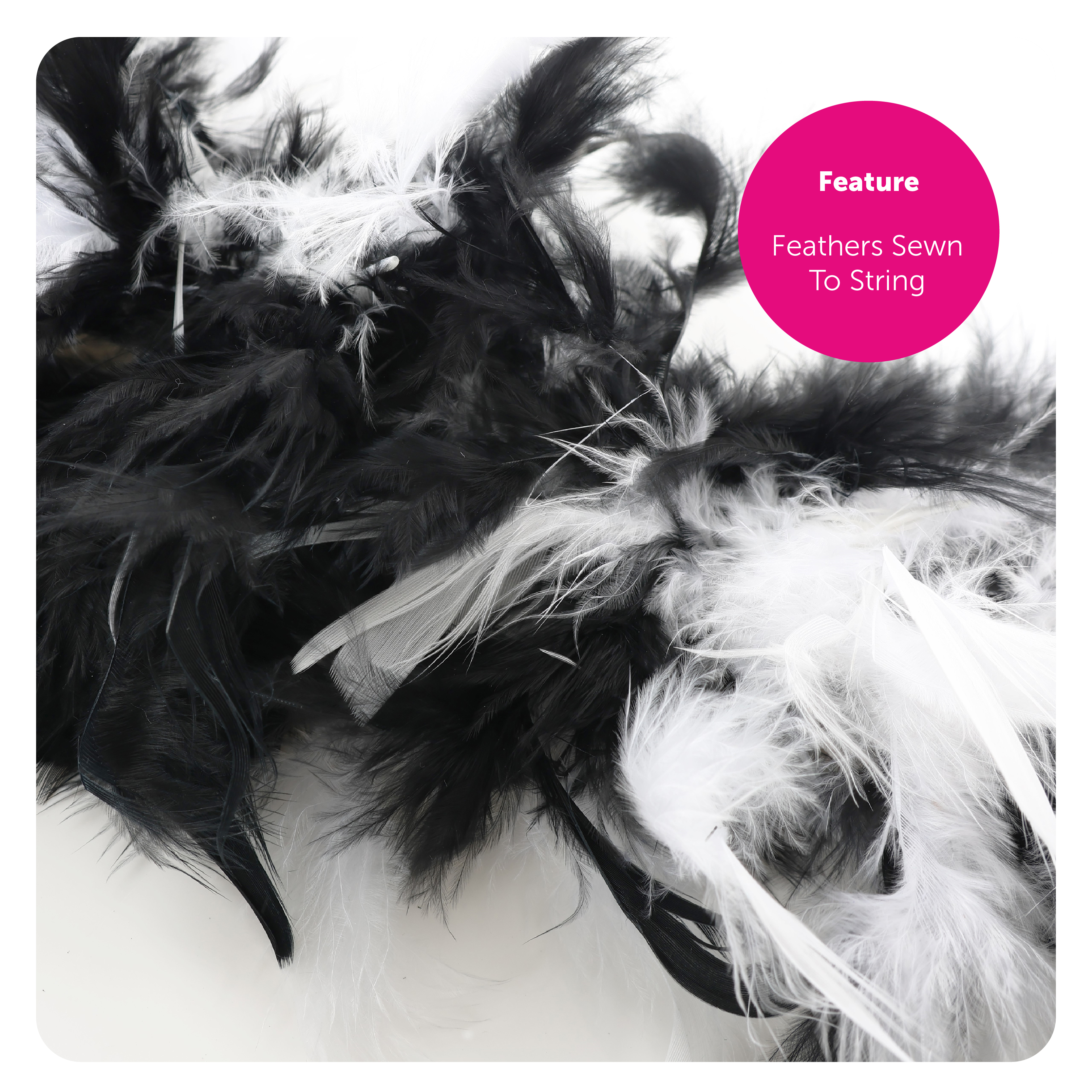 7dd68741-6fbd-466a-ab5d-a7f955b16553 (1)