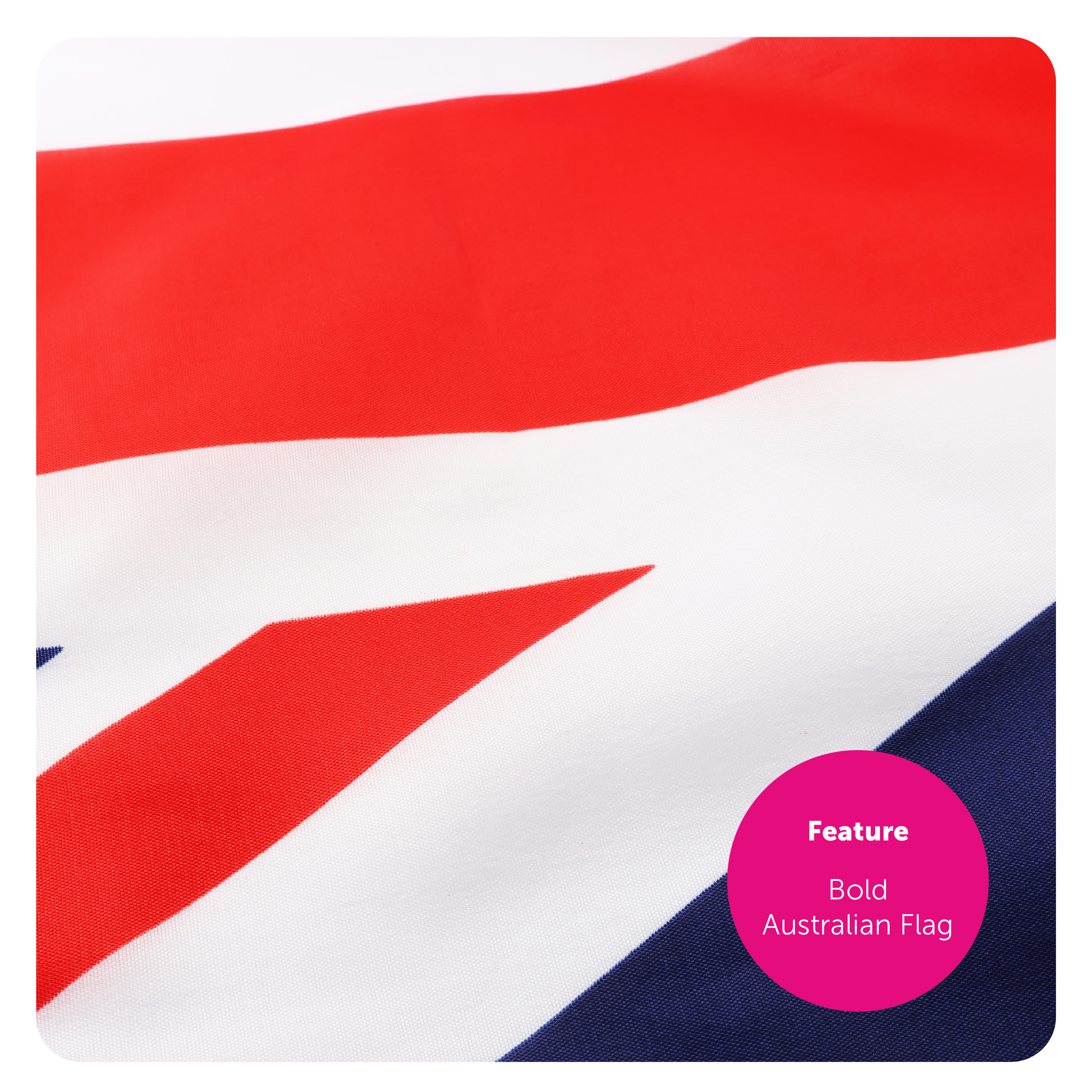 893ce032-54d4-4049-8dbb-87a58056256a