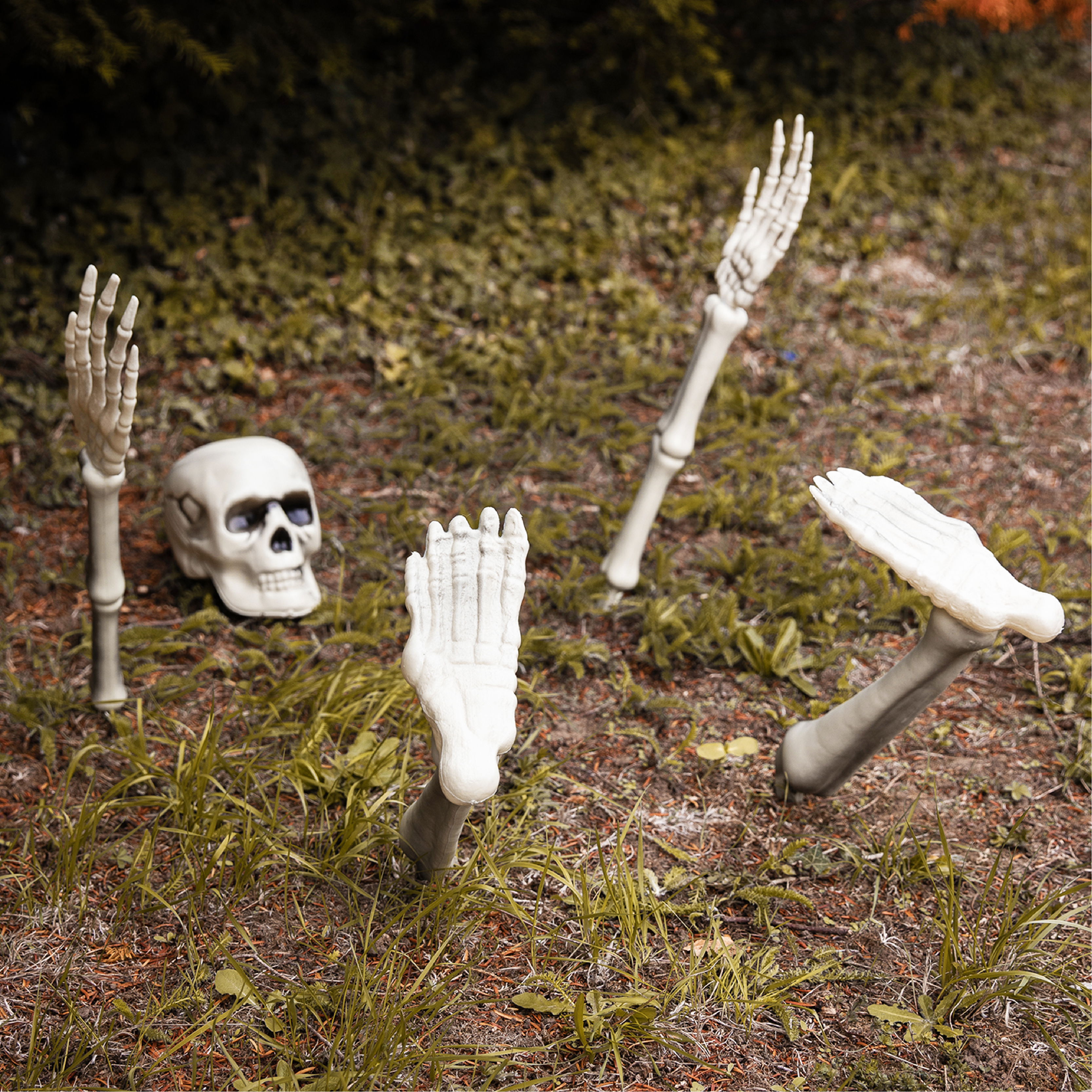 5 Piece Groundbreaking Skeleton Halloween Decoration
