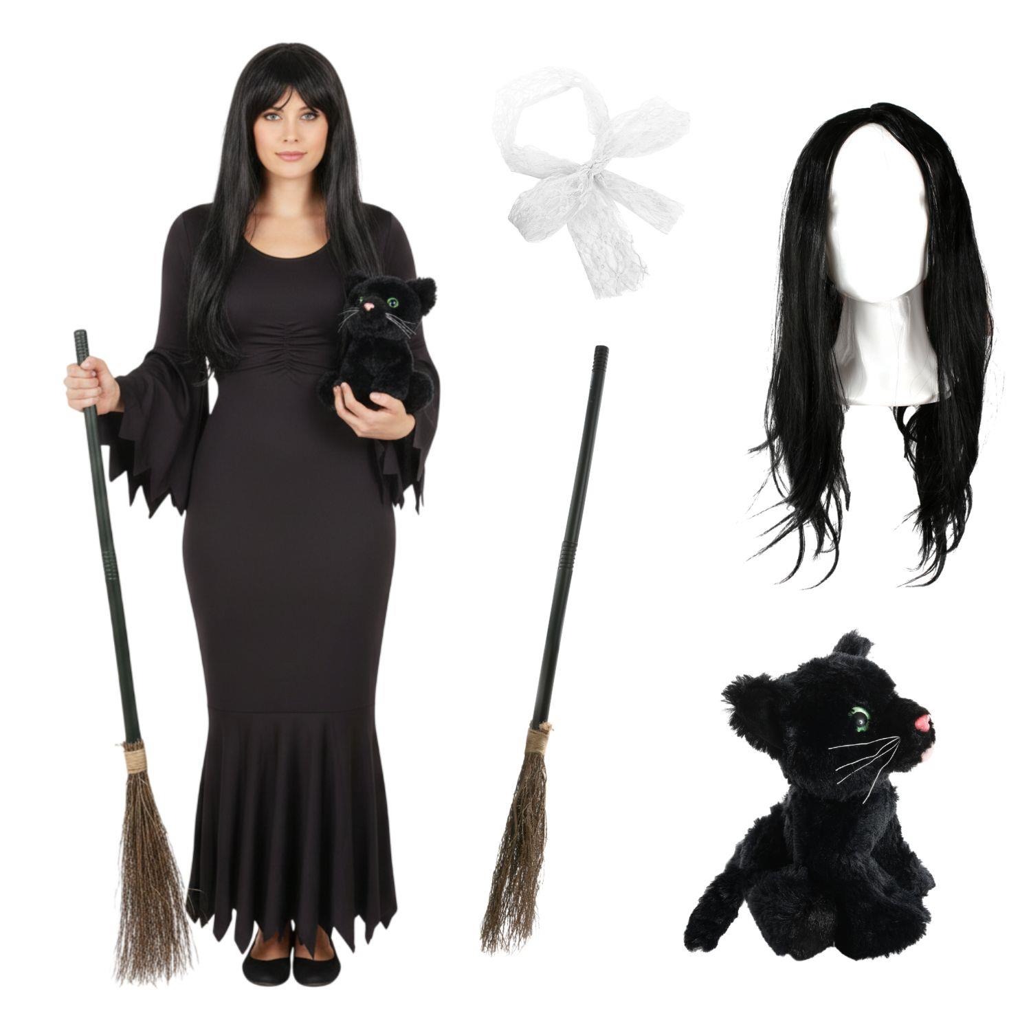 Ladies Hooky Witch Costume | 5 Pcs | Dress, Broom, Cat Toy, Wig & Hair Bow