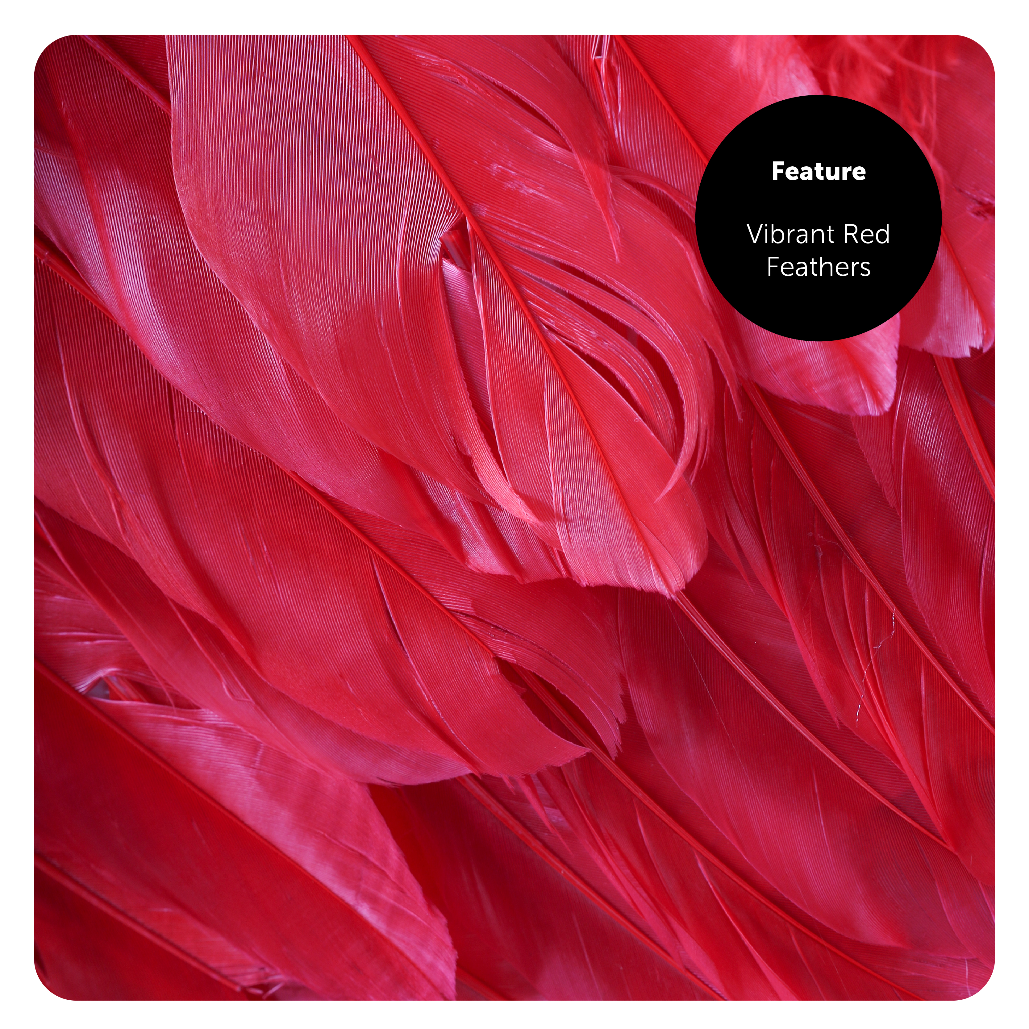 1a7d0469-867c-450a-82aa-3038cebe1154