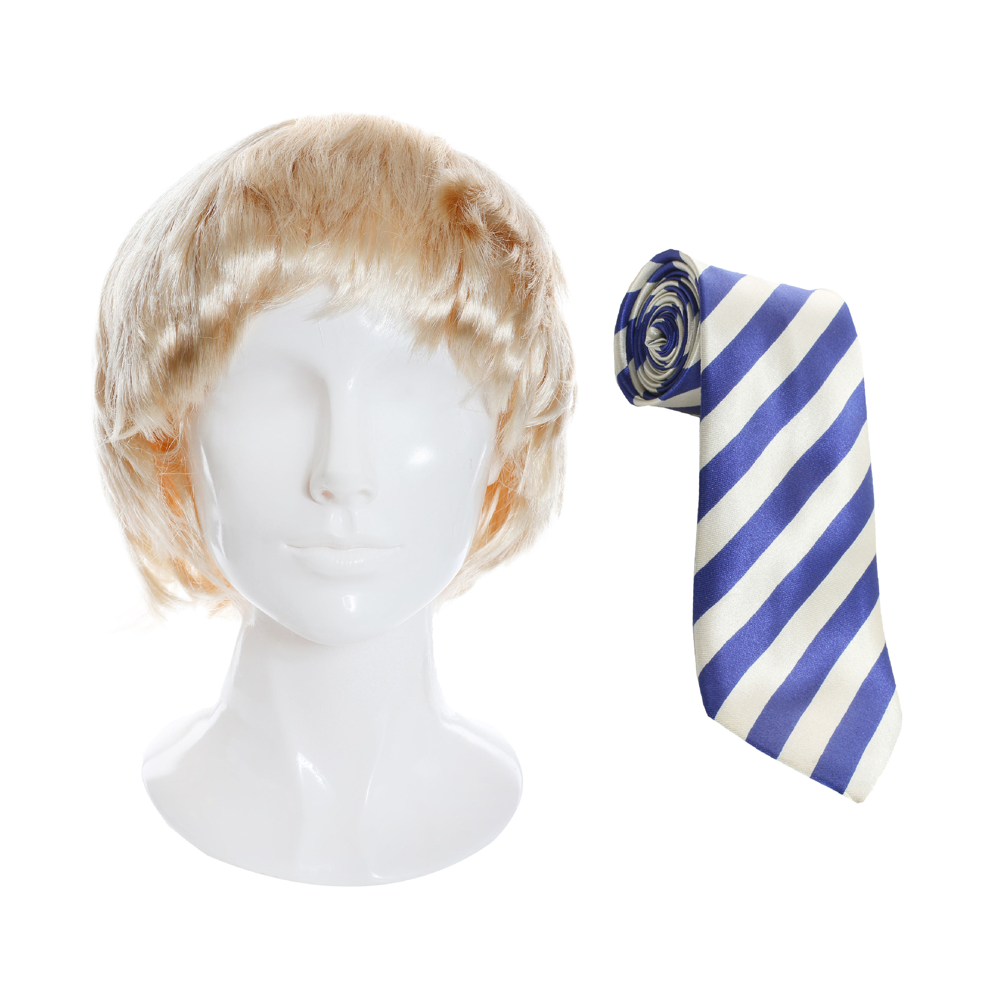 Adults Jay Accessory Set | 2 Pcs | Wig & Blue Tie